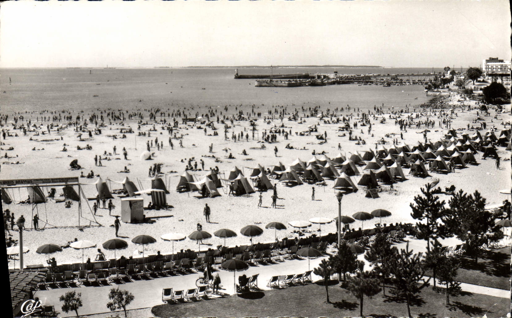 CPM Royan Vue General De La Plage
