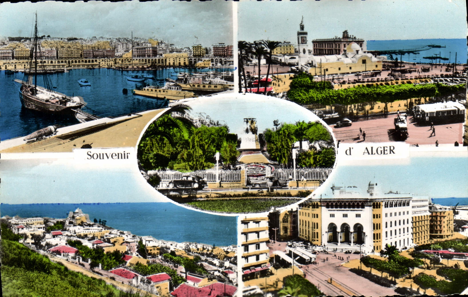 CPM Souvenir D'Alger