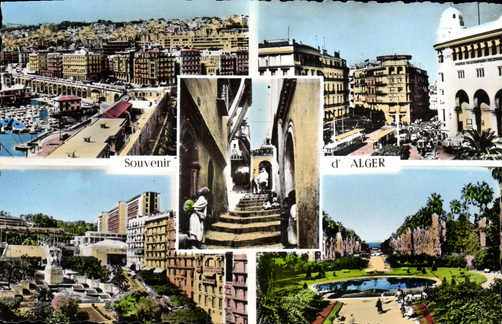 CPM Souvenir d'Alger