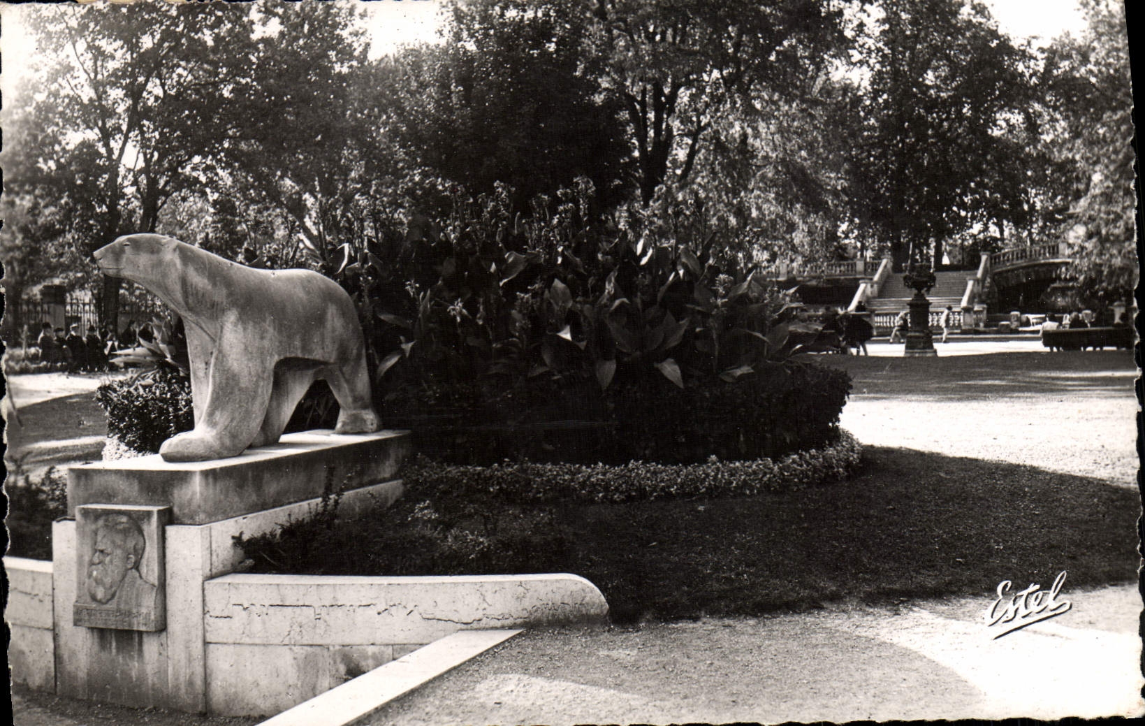 MODERN CARD Dijon Garden Darcy Polar bear