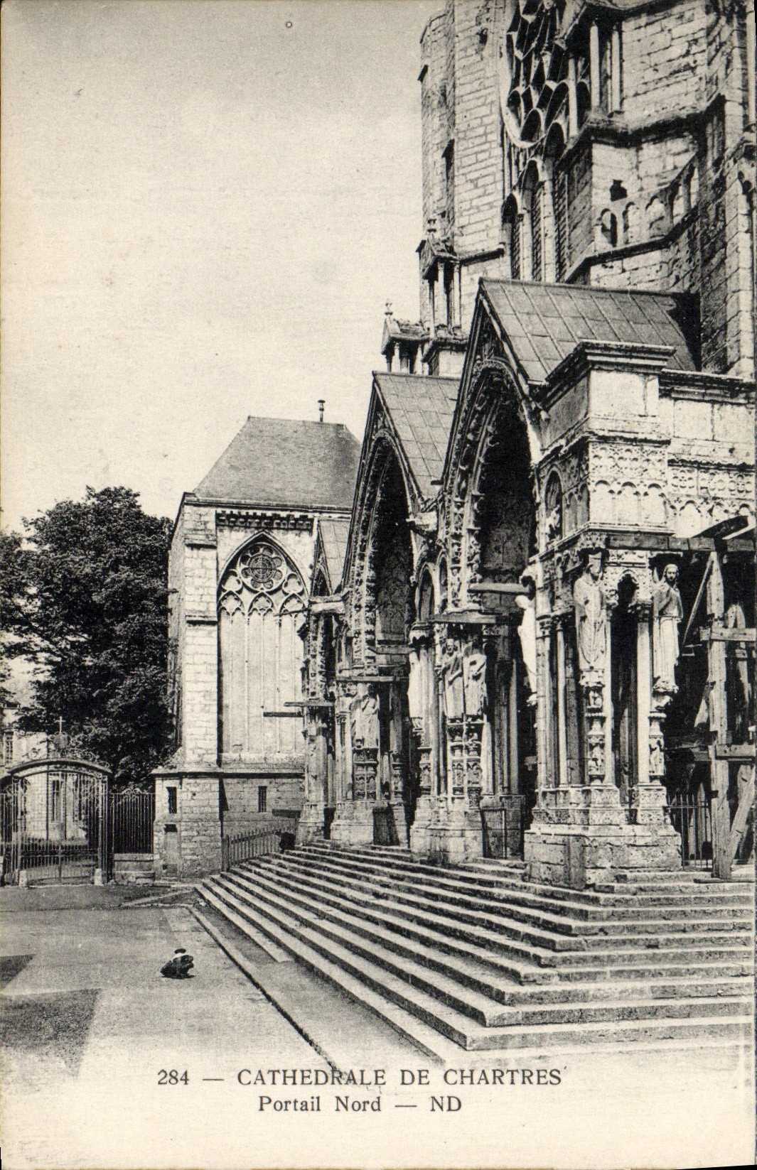 CPA Cathedrale De Chartres Portail Nord