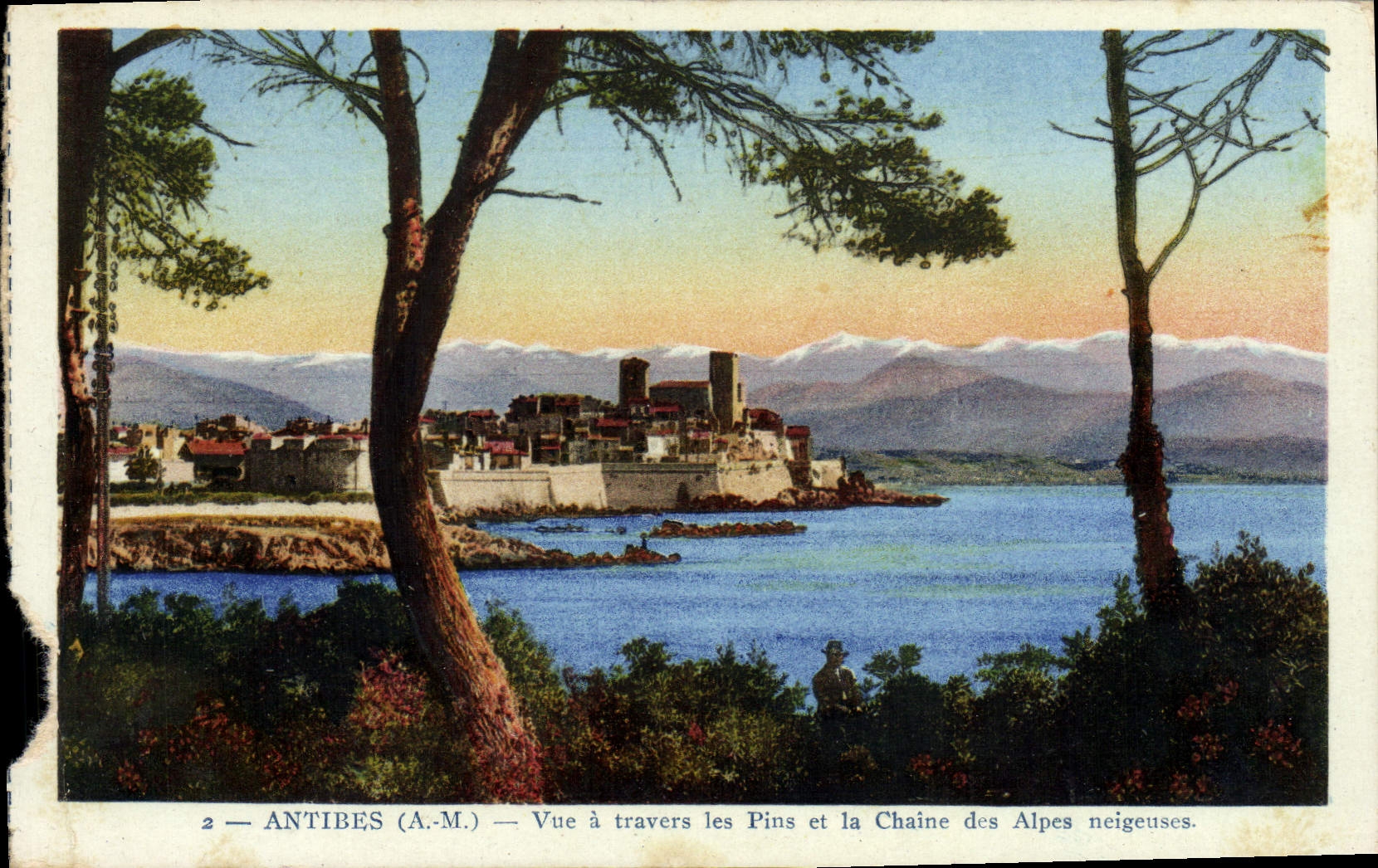 CPA Antibes Vue A Travers Les Pins Et La Chaine Des Alpes Neigeuses