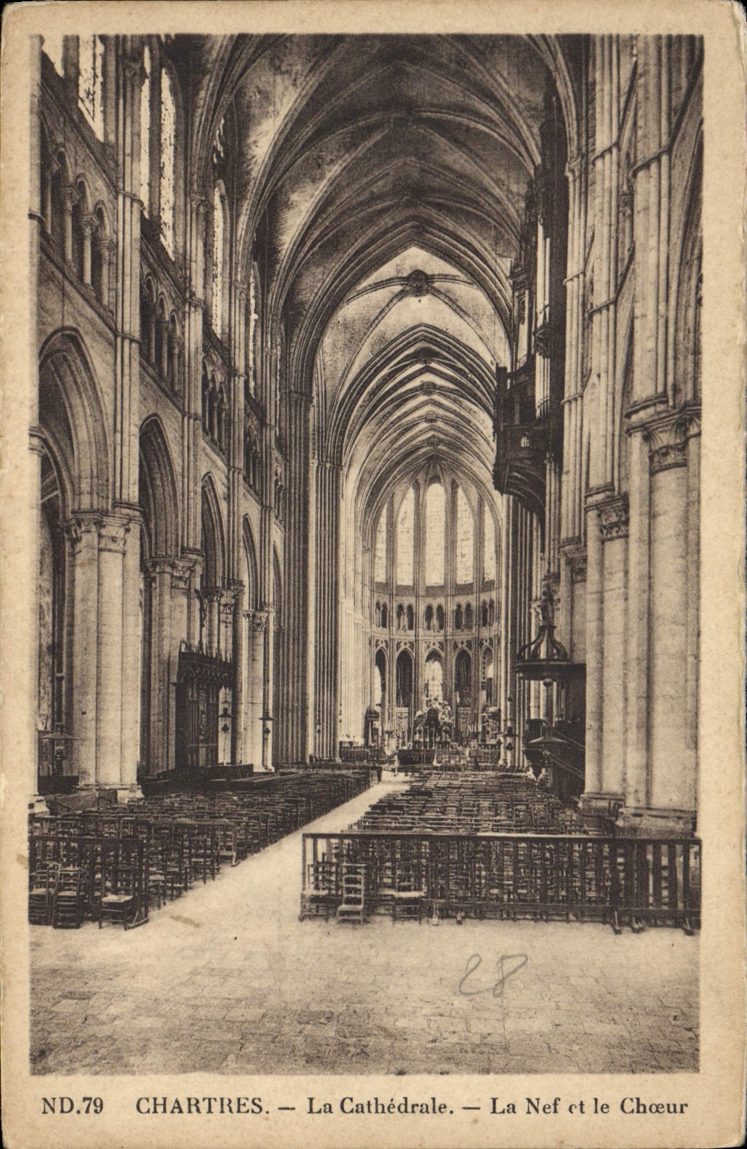 CPA Chartres La Cathedrale La nef et le choeur