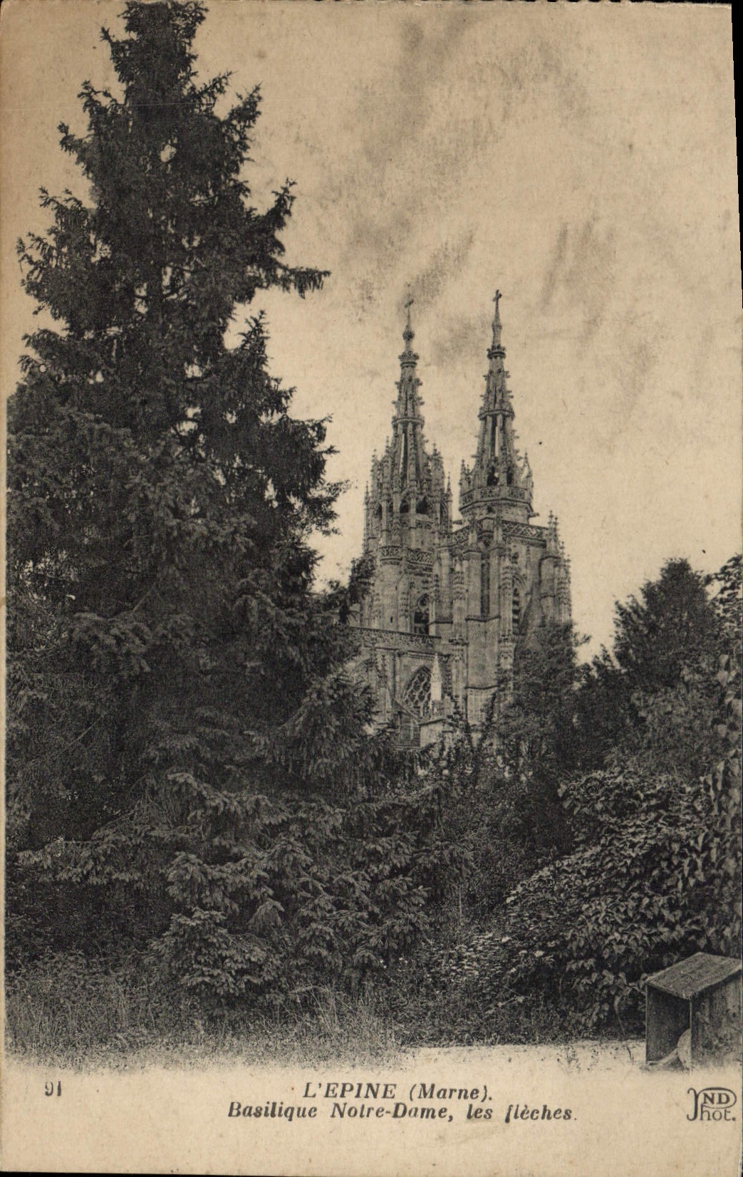 VINTAGE POSTCARD the Spine Notre Dame Basilica arrows