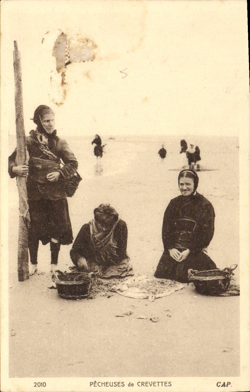 POSTAL Pecheuses de la VENDIMIA del folklore de los pescados de los camarones