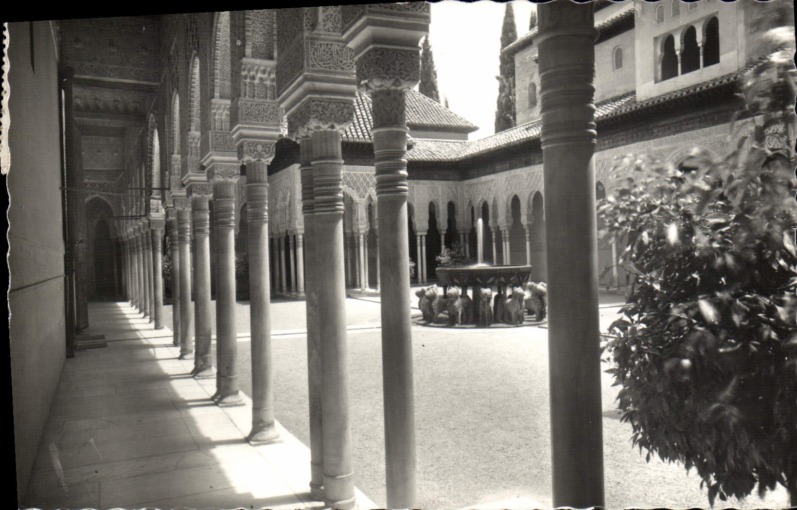CPM Granada La Alhambra patio de los leones