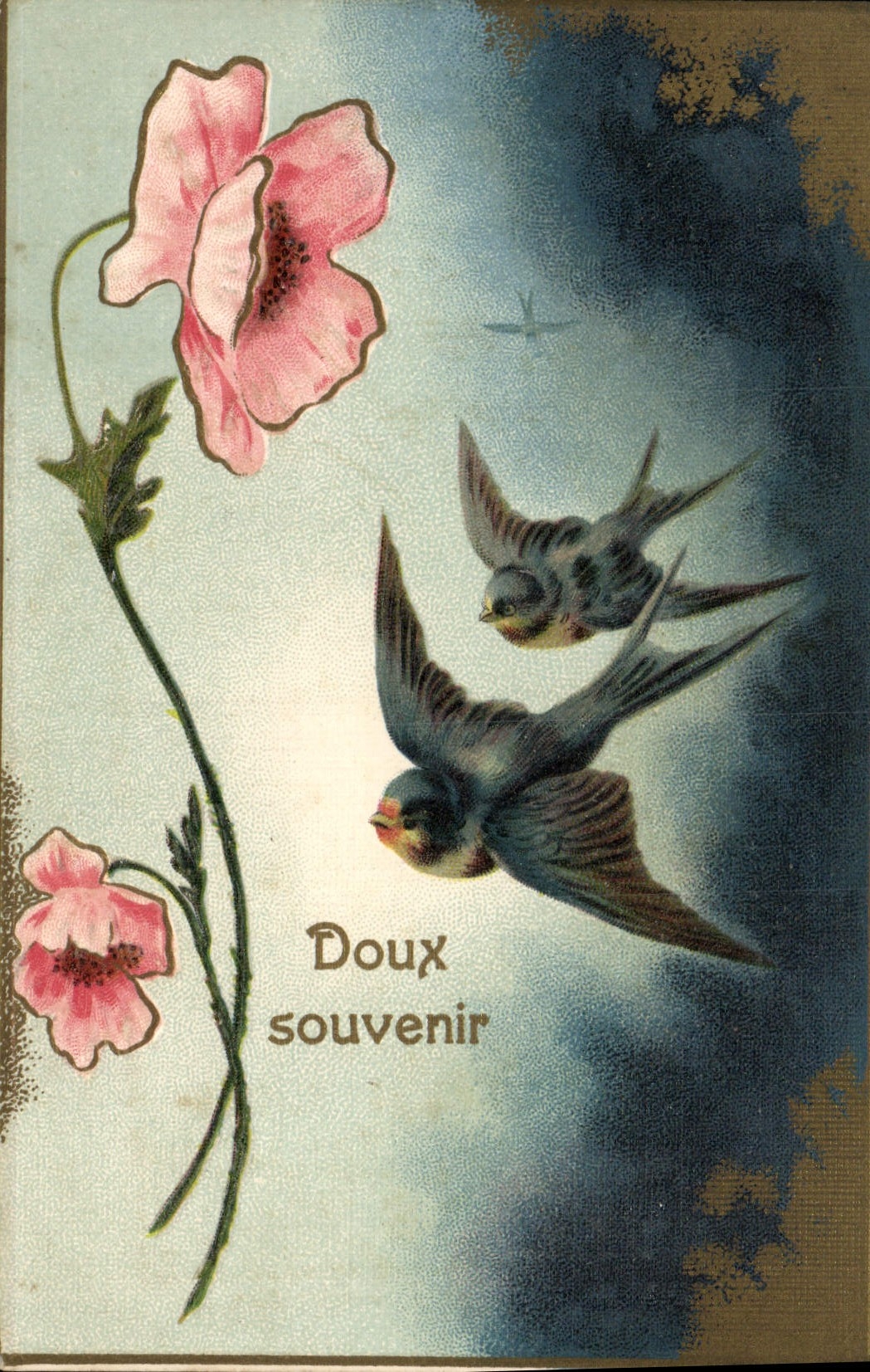VINTAGE POSTCARD Fantasy Flower Swallow