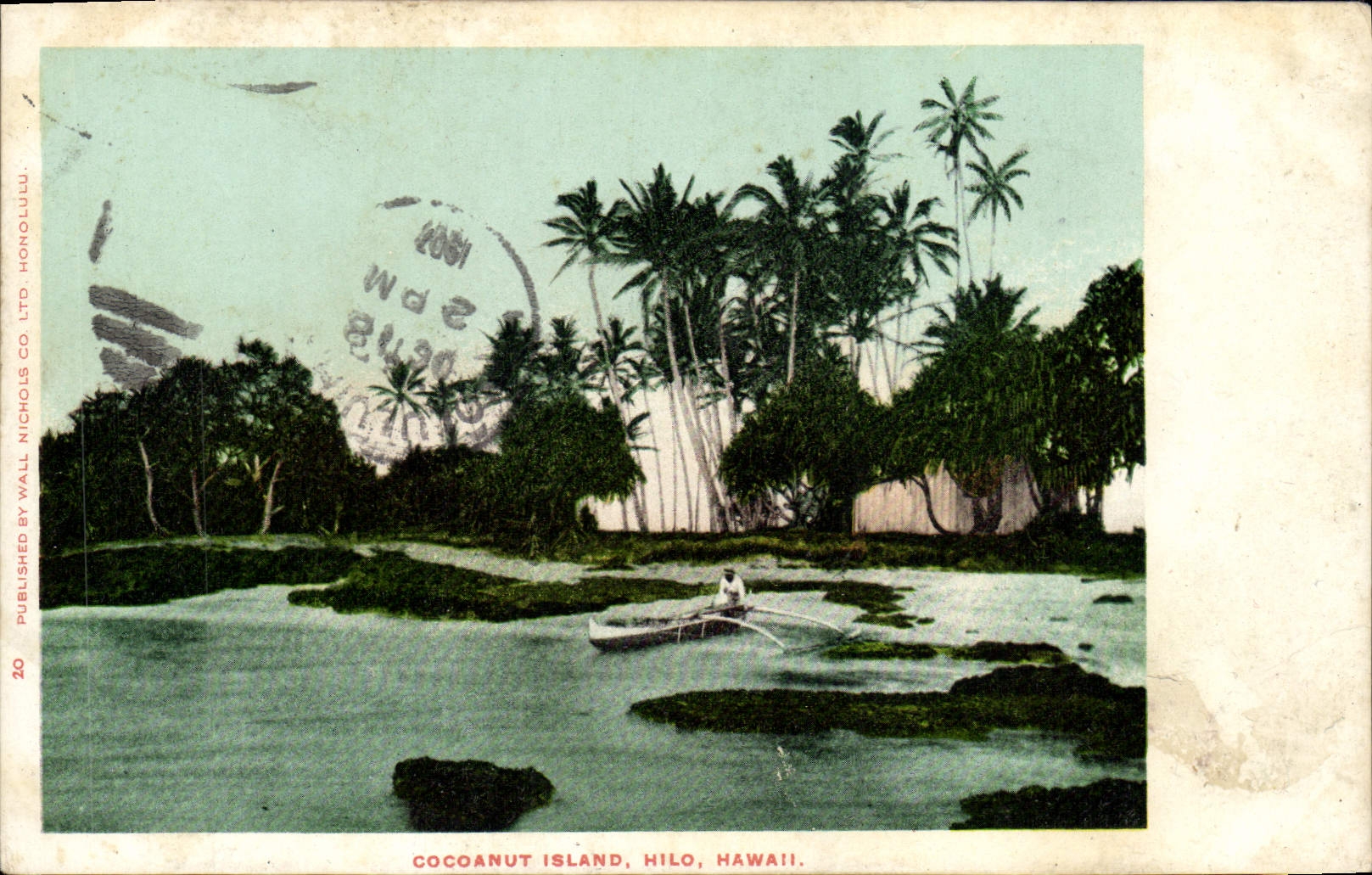 CPA Cocoanut island Hilo Hawai