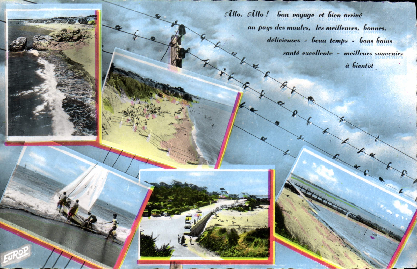 MODERN CARD St Michel Chief Chief