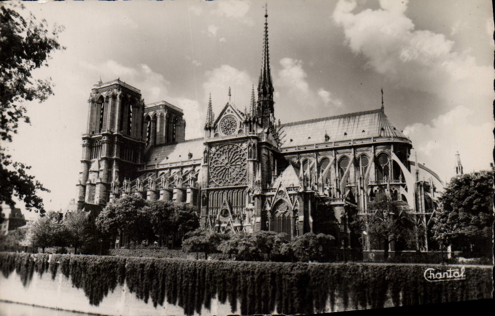 CPM Notre Dame De Paris L'Abside Et Et Cote Sud
