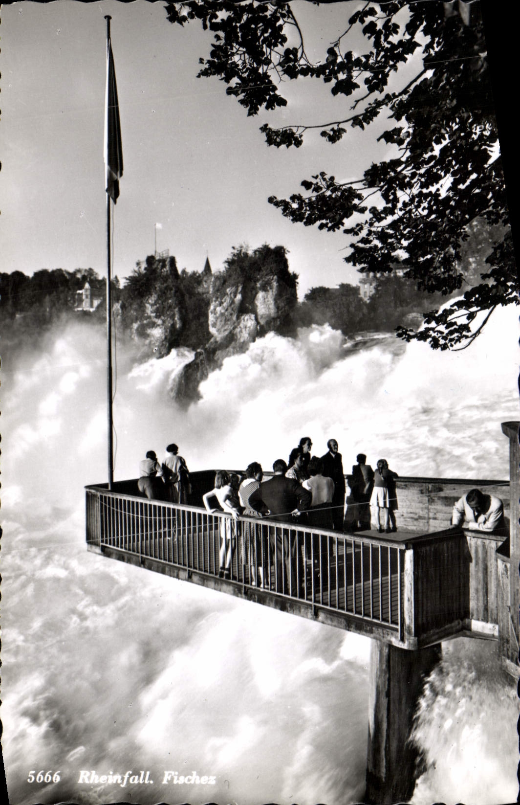 CPM Rheinfall Fisches