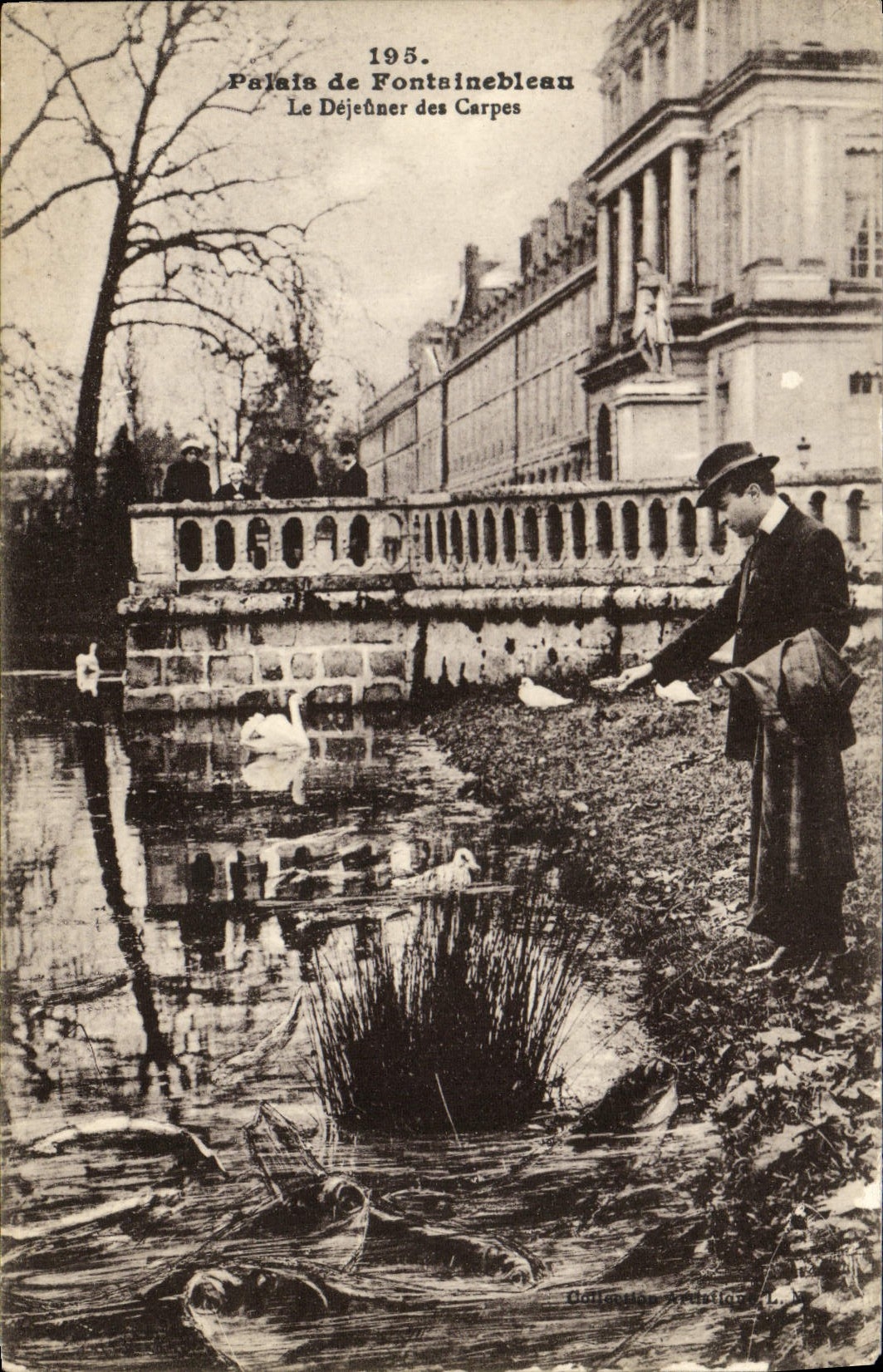 VINTAGE POSTCARD Palate of Fontainebleau the Lunch of Carps