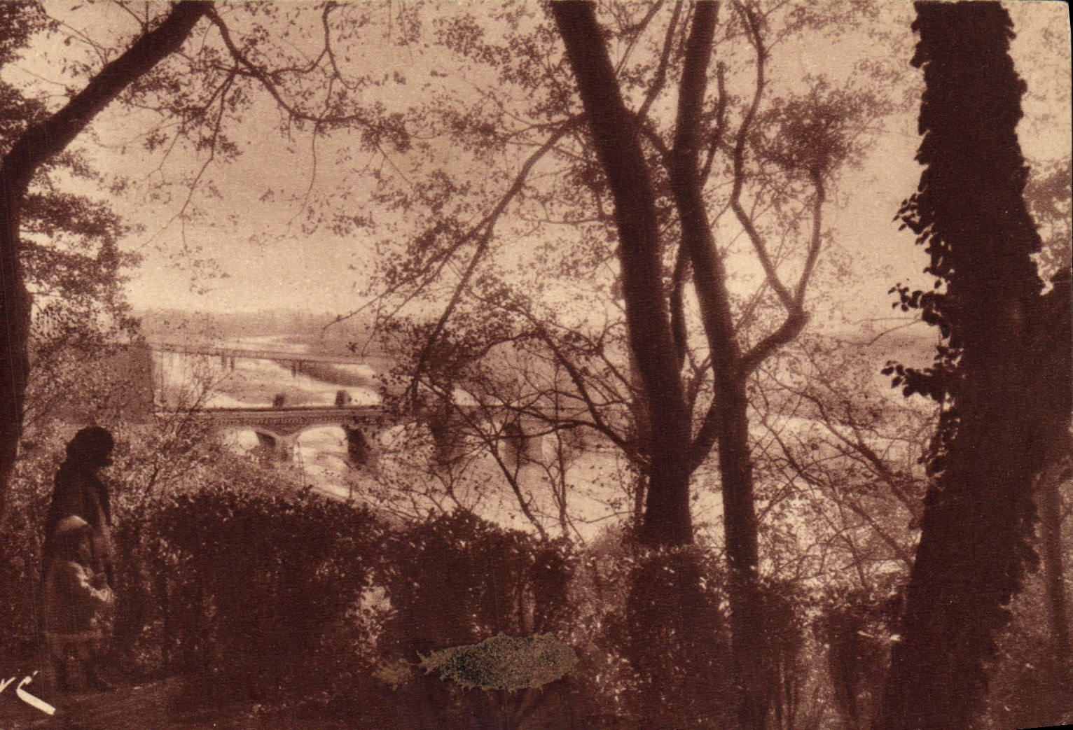 POSTAL Pau de la VENDIMIA que el valle de dio del parque nacional