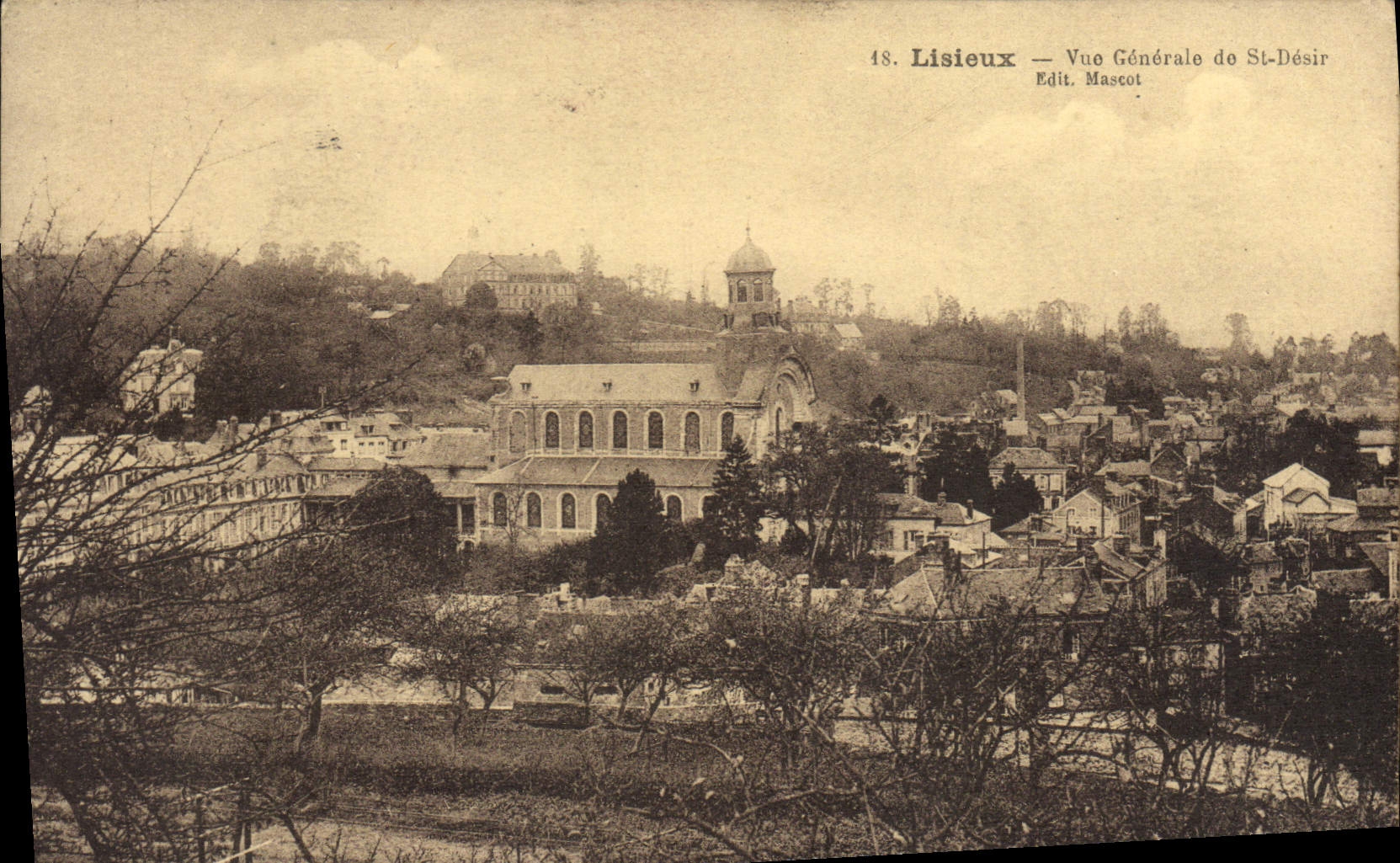 Opinión de Lisieux de la POSTAL de la VENDIMIA del deseo del St