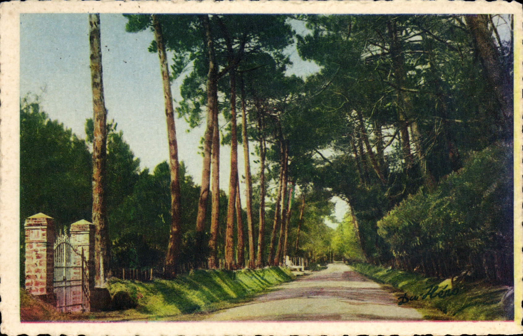 VINTAGE POSTCARD Noirmoutier an Alley of Wood