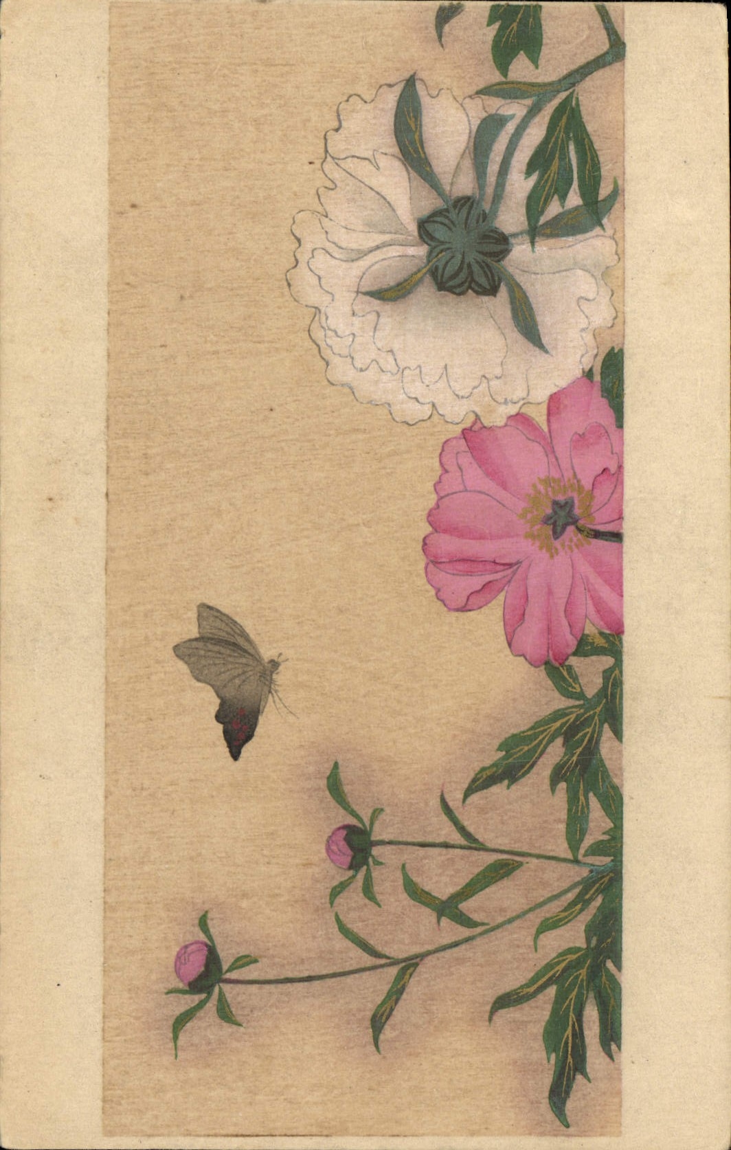 VINTAGE POSTCARD Japanese Japan Flowers Butterfly