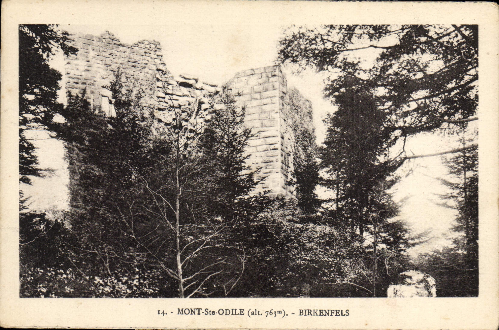 VINTAGE POSTCARD Mount co. Odile Birkenfels