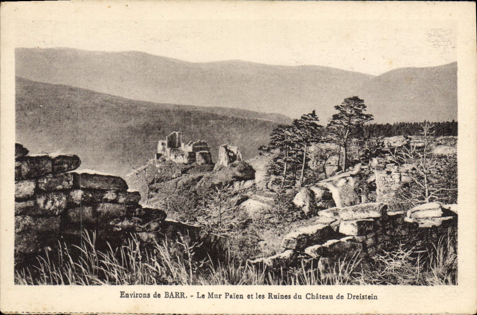 Alrededores de la POSTAL de la VENDIMIA de Barr la pared y las ruinas paganas del castillo de Dreistein