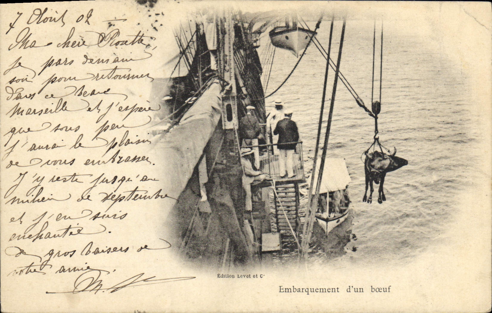 VINTAGE POSTCARD Boat Loading of an ox