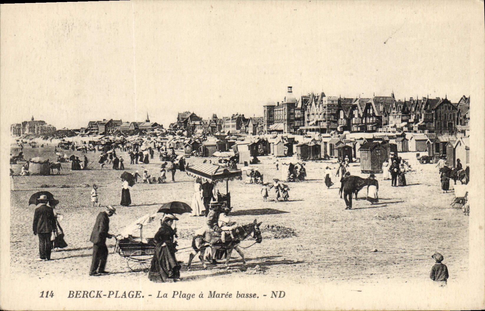 CPA Berck Plage La Plage a Maree Basse Ane Mule 