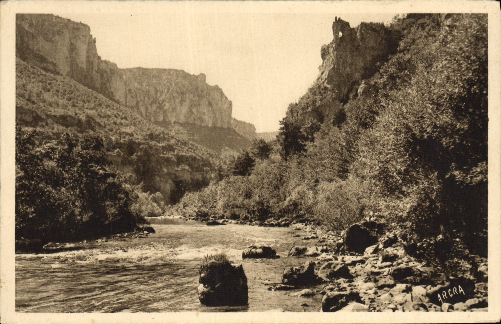 CPA Les Gorges Du Tarn Les Vignes