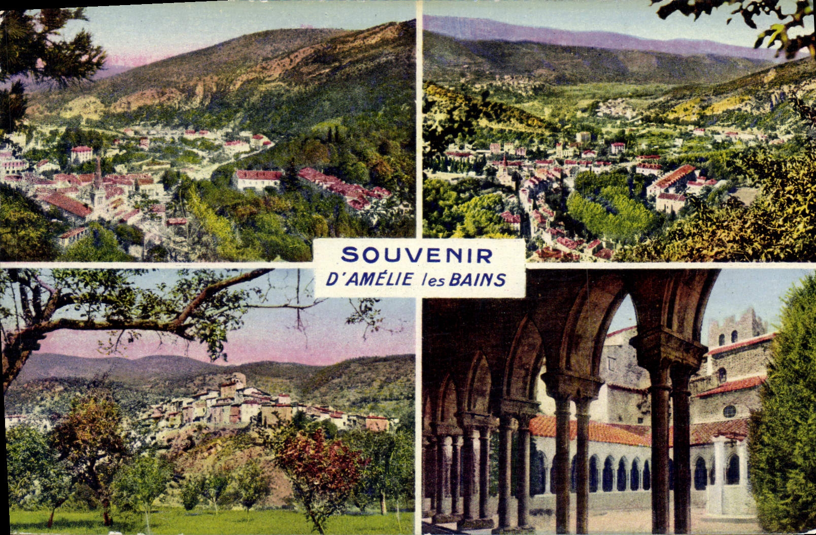 VINTAGE POSTCARD Amelie les Bains
