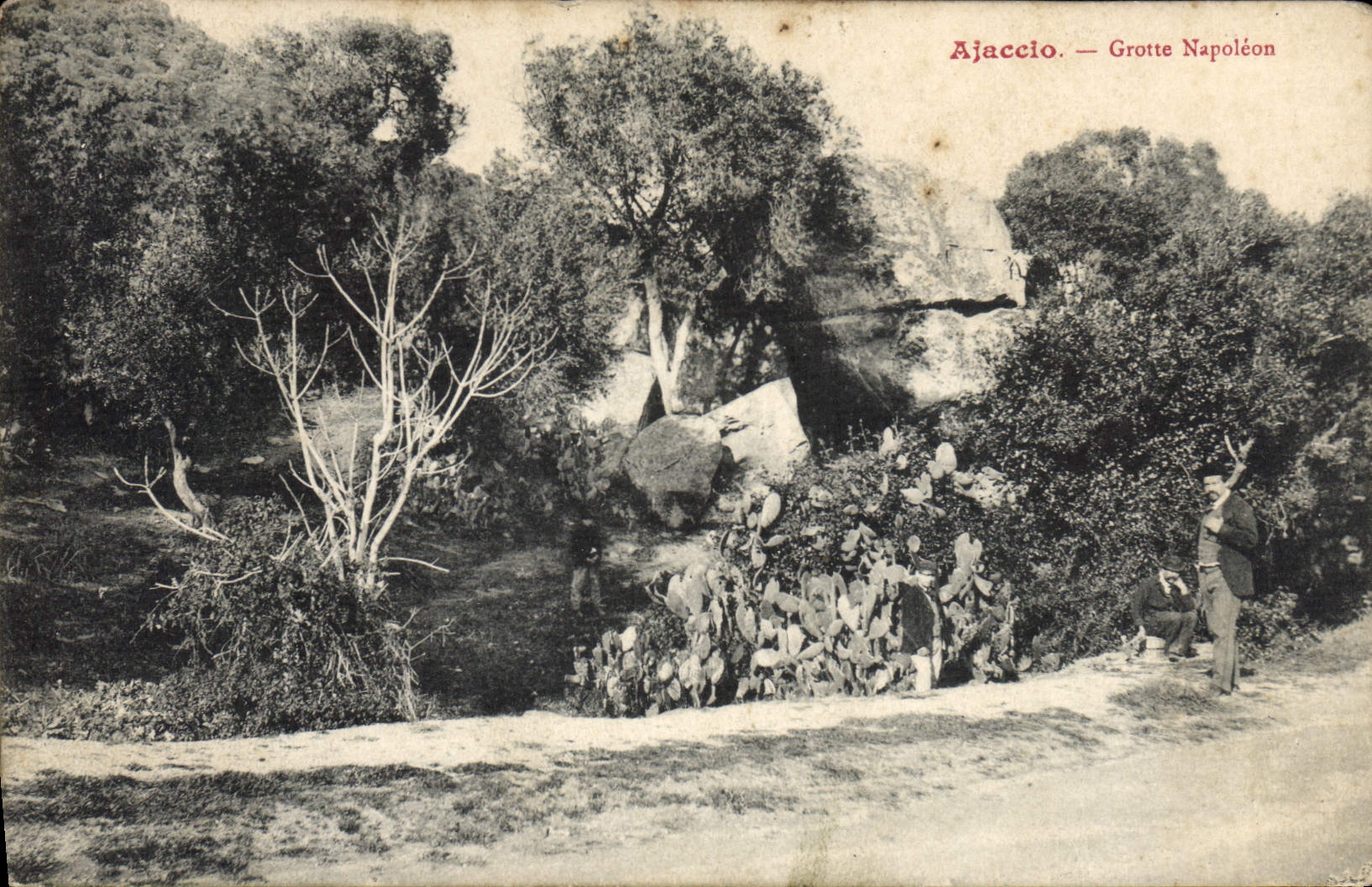 Cueva Napoleon Córcega de Ajacio Córcega de la POSTAL de la VENDIMIA