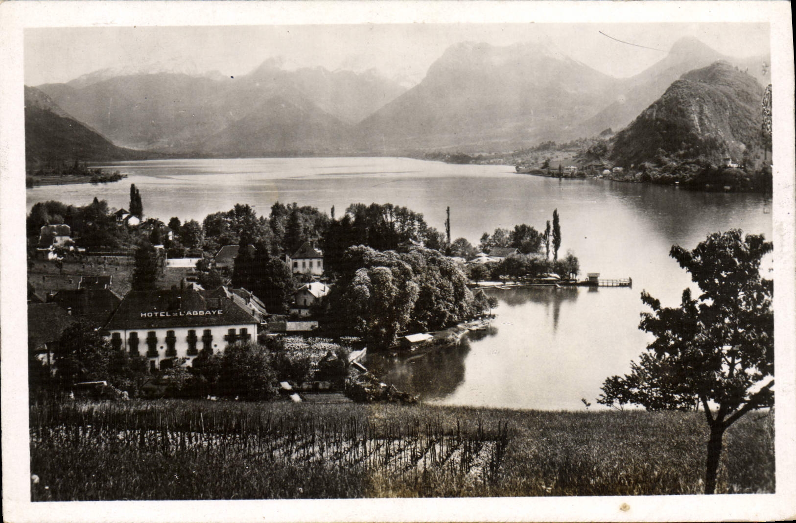 CPM Lac D'Annecy Tallires Hotel de L'Abbaye