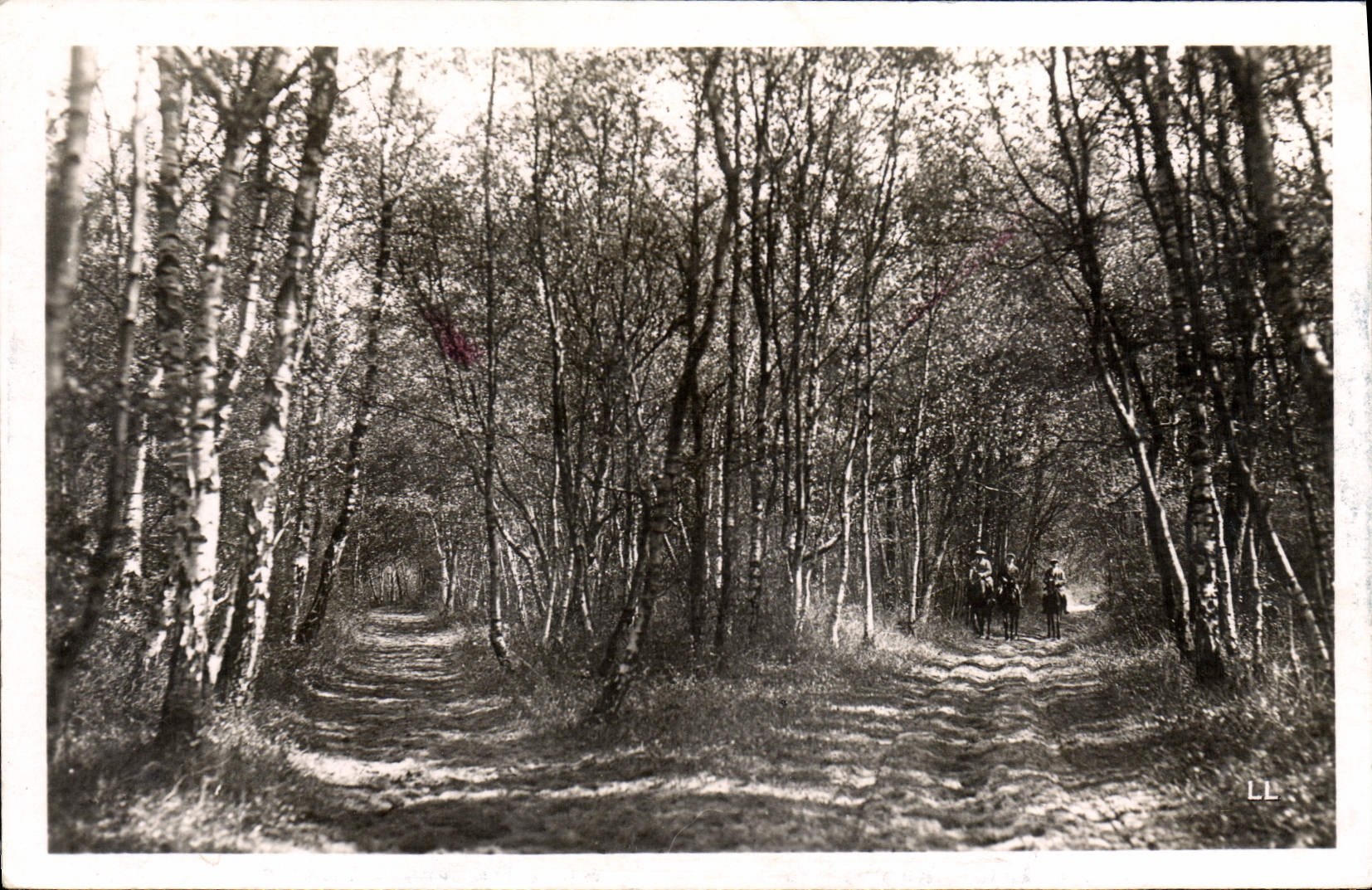 MODERN CARD Touquet Paris Beach Drill