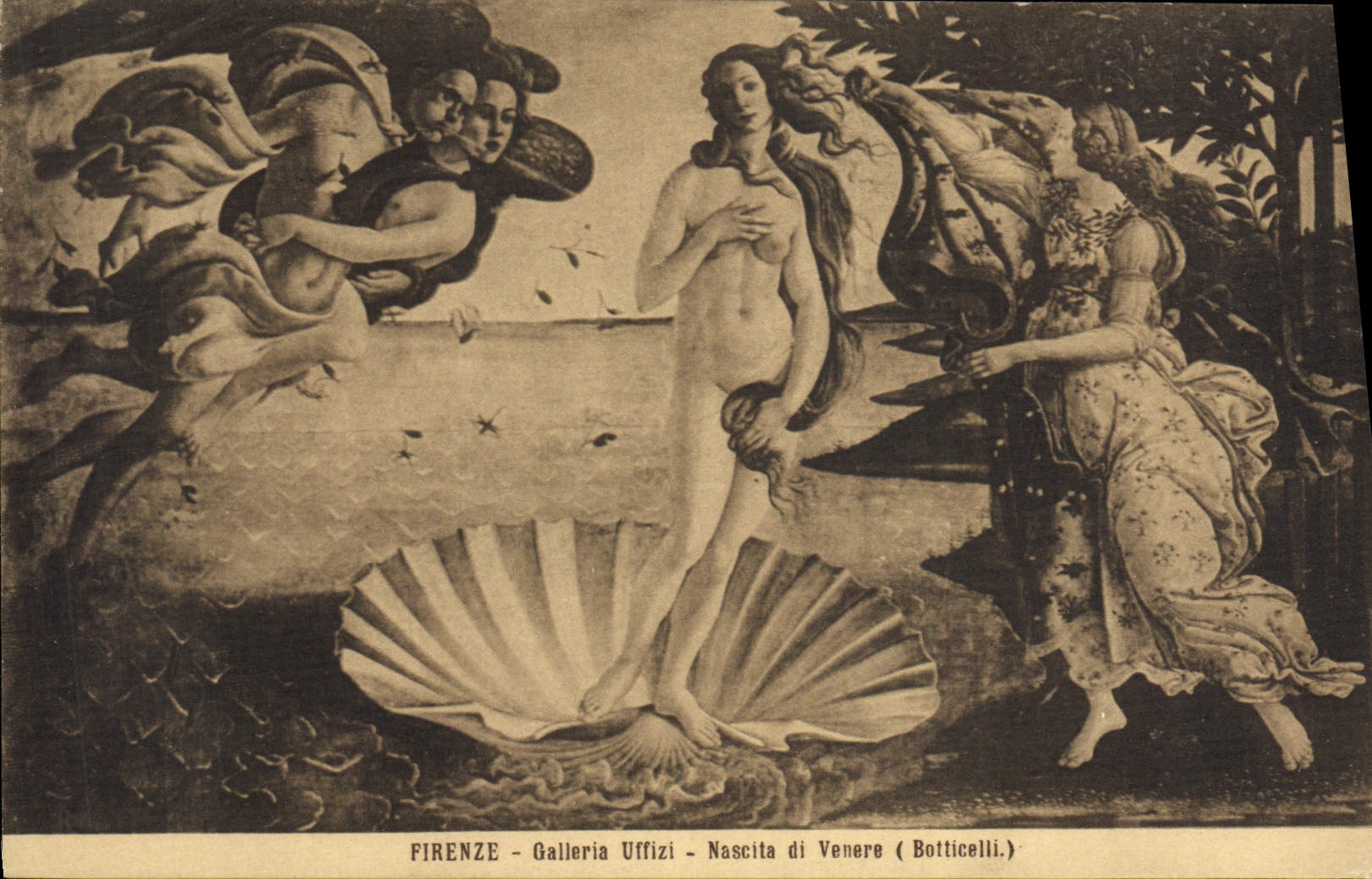 VINTAGE POSTCARD Firenze Galleria Uffizi Nascita di Venere Botticelli