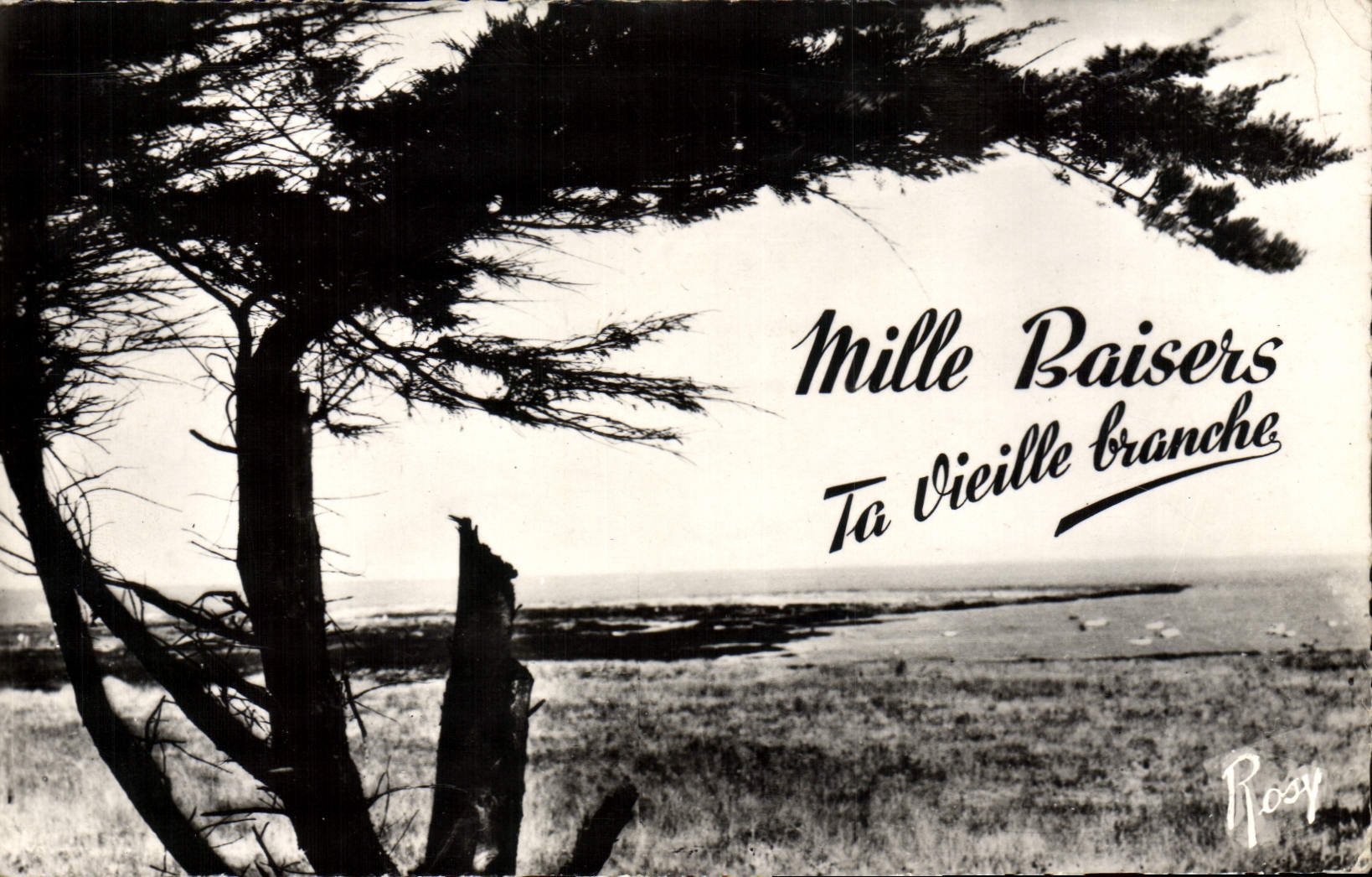 POSTAL MODERNA el vacaciones