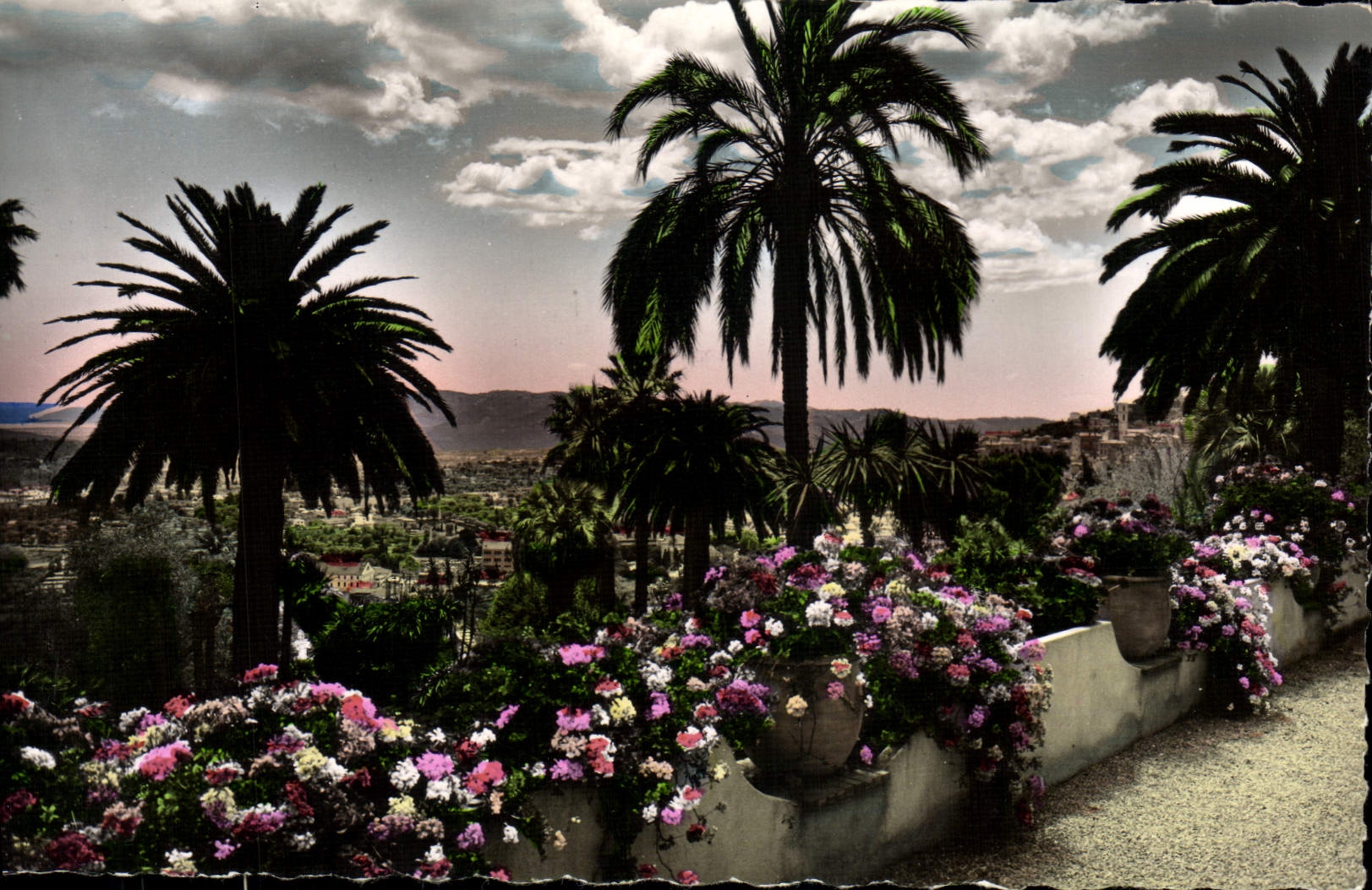 CPM Grasse Sa Vegetation Exotique Au Fond La Mediterranee