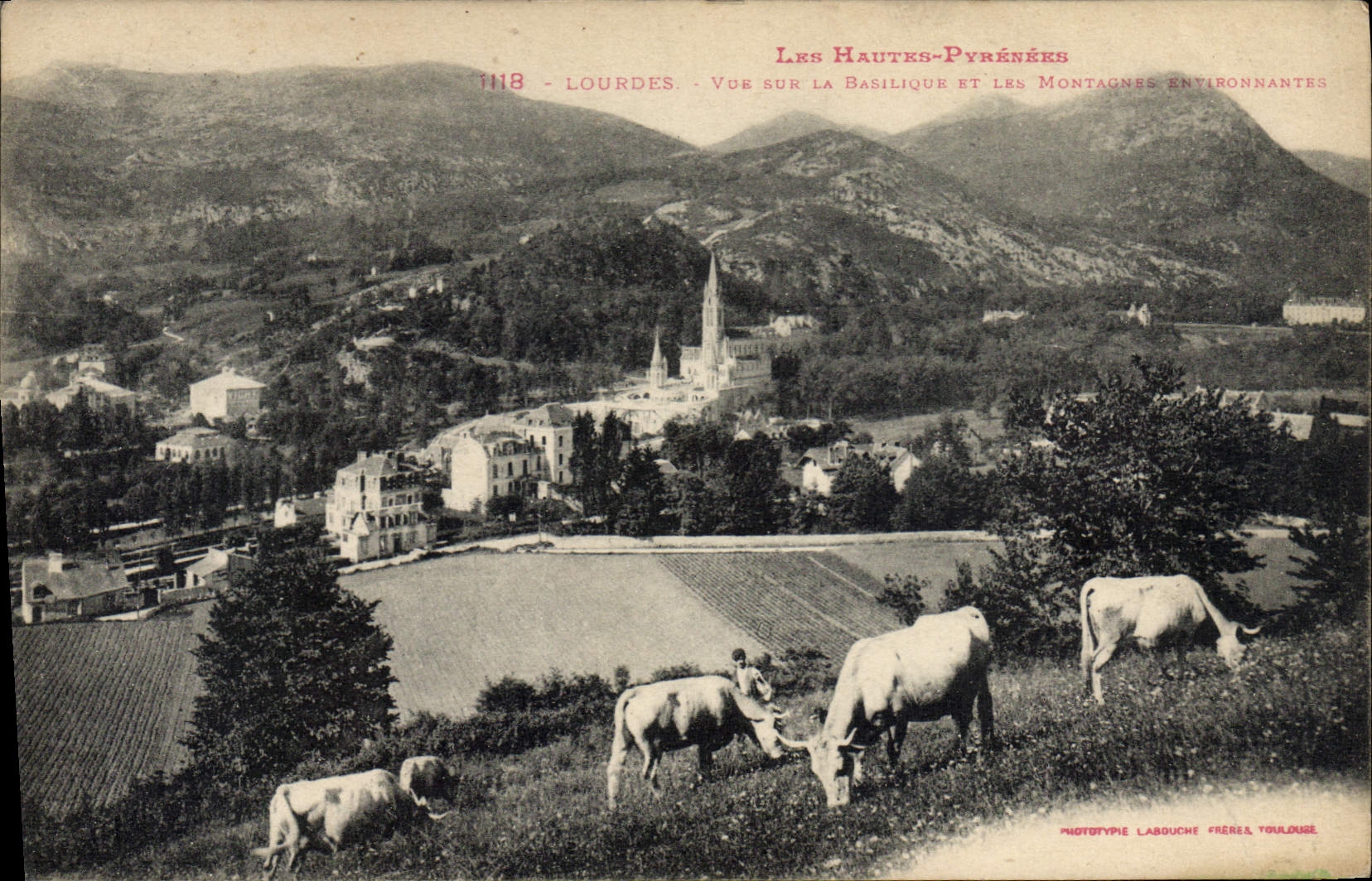 VINTAGE POSTCARD High Pyreness Heavy Sight on the surrounding basilica and mountains Cows
