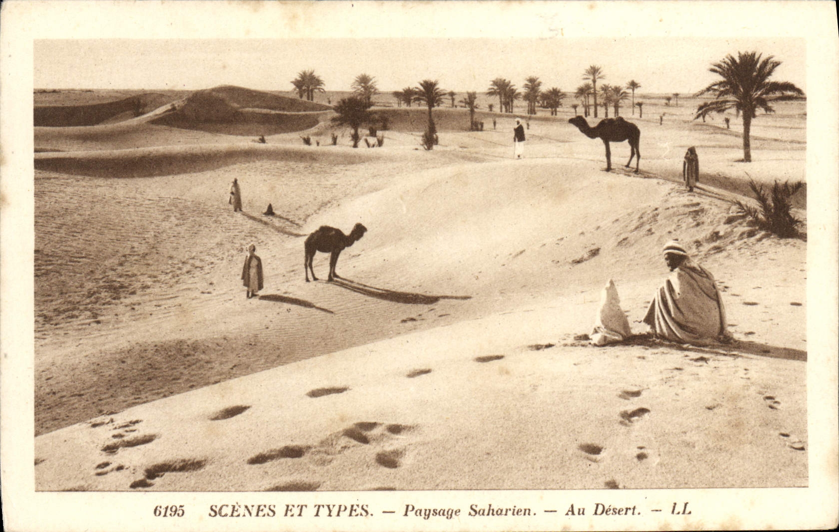 VINTAGE POSTCARD Saharan Landscape With the dersert Camel