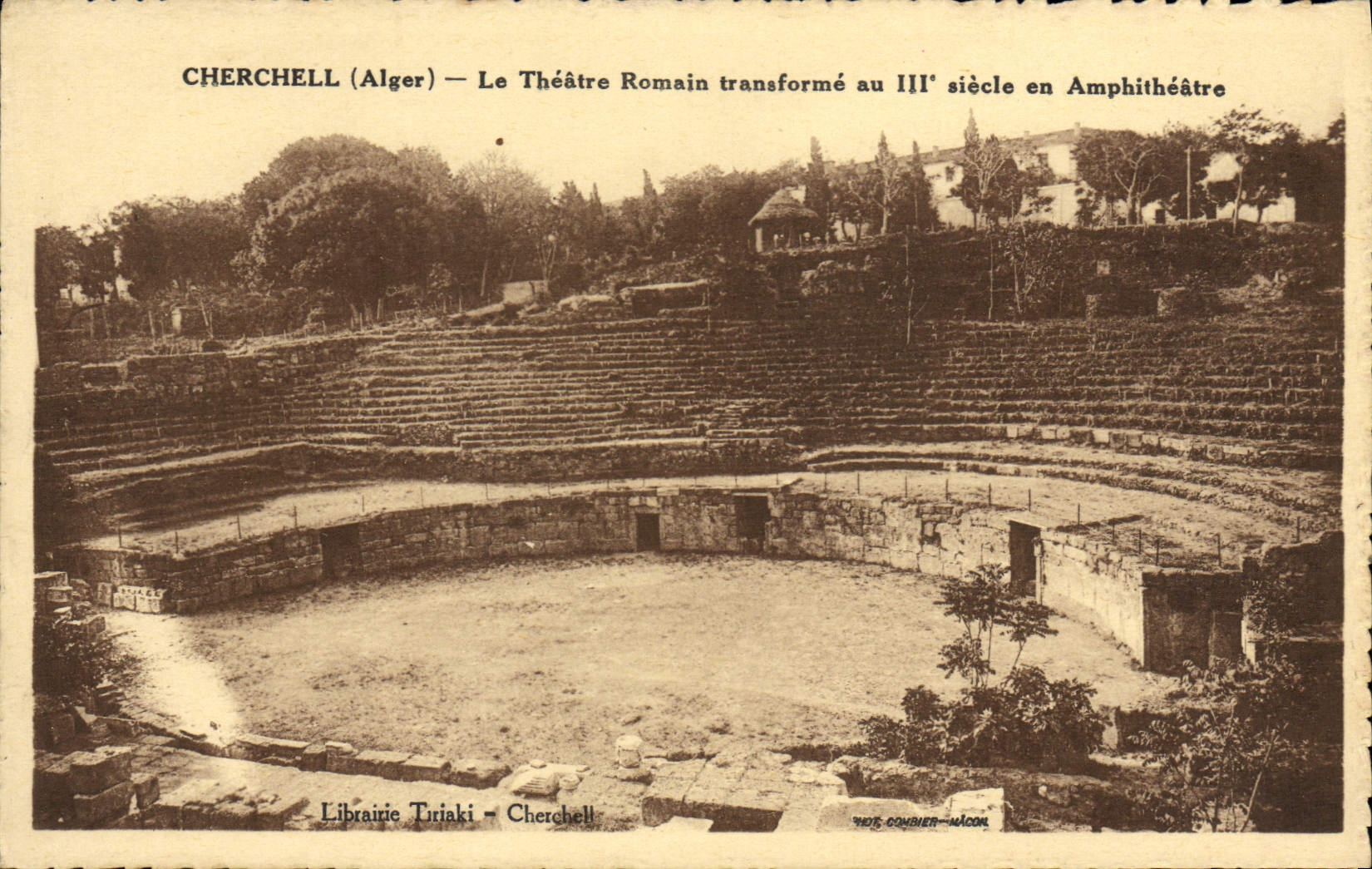 POSTAL Cherchell de la VENDIMIA el anfiteatro romano del teatro