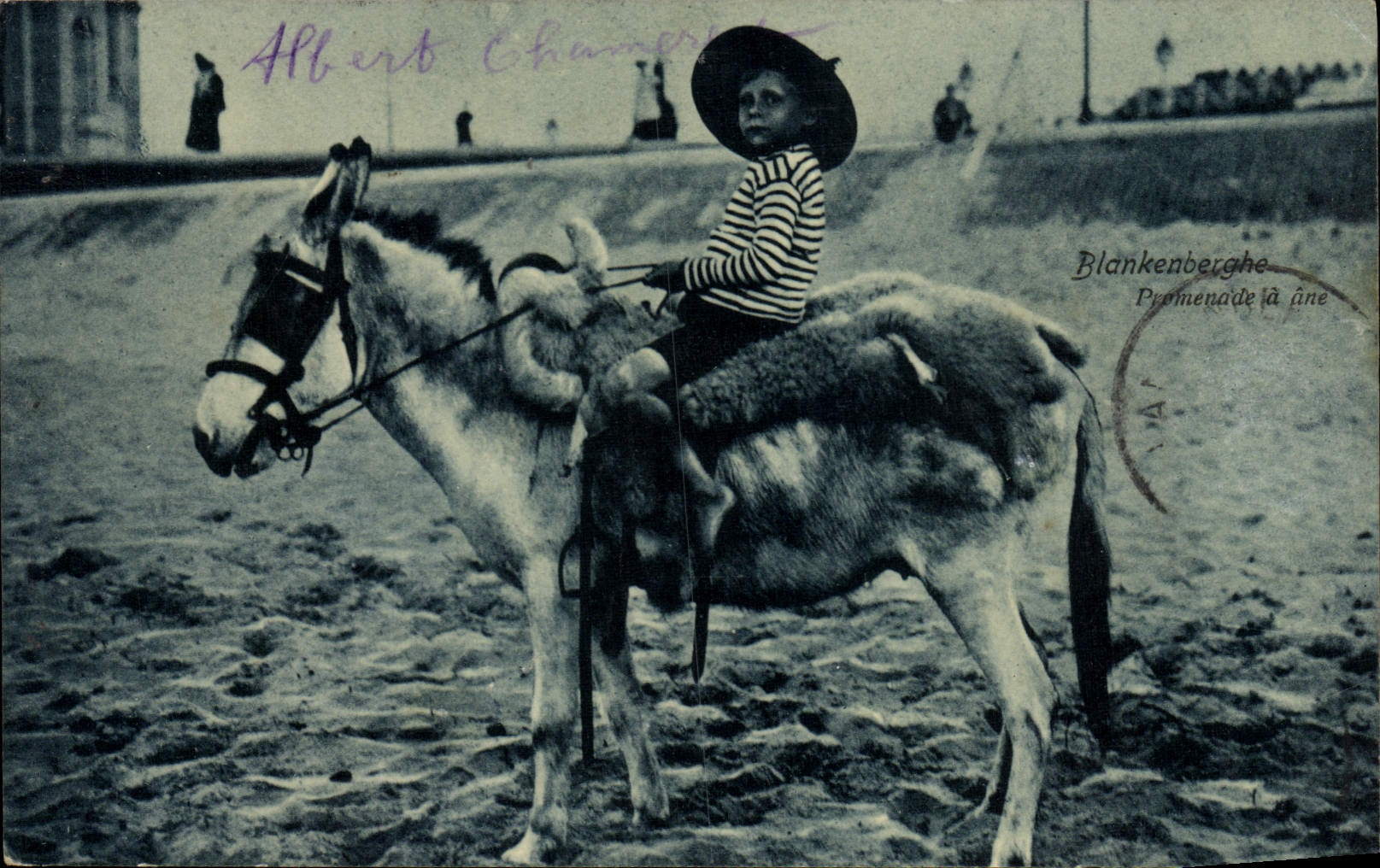 Caminata de Blankenberghe de la POSTAL de la VENDIMIA en niño del asno