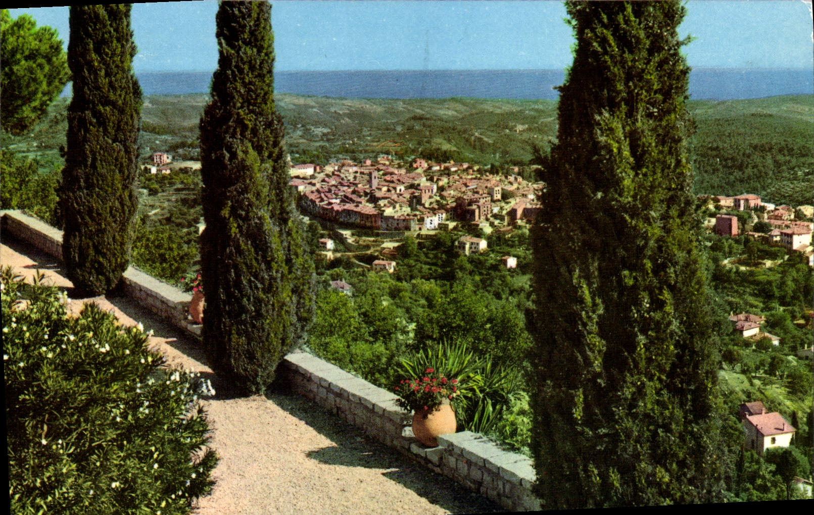 CPM Vence la Jolie Vue Generale 