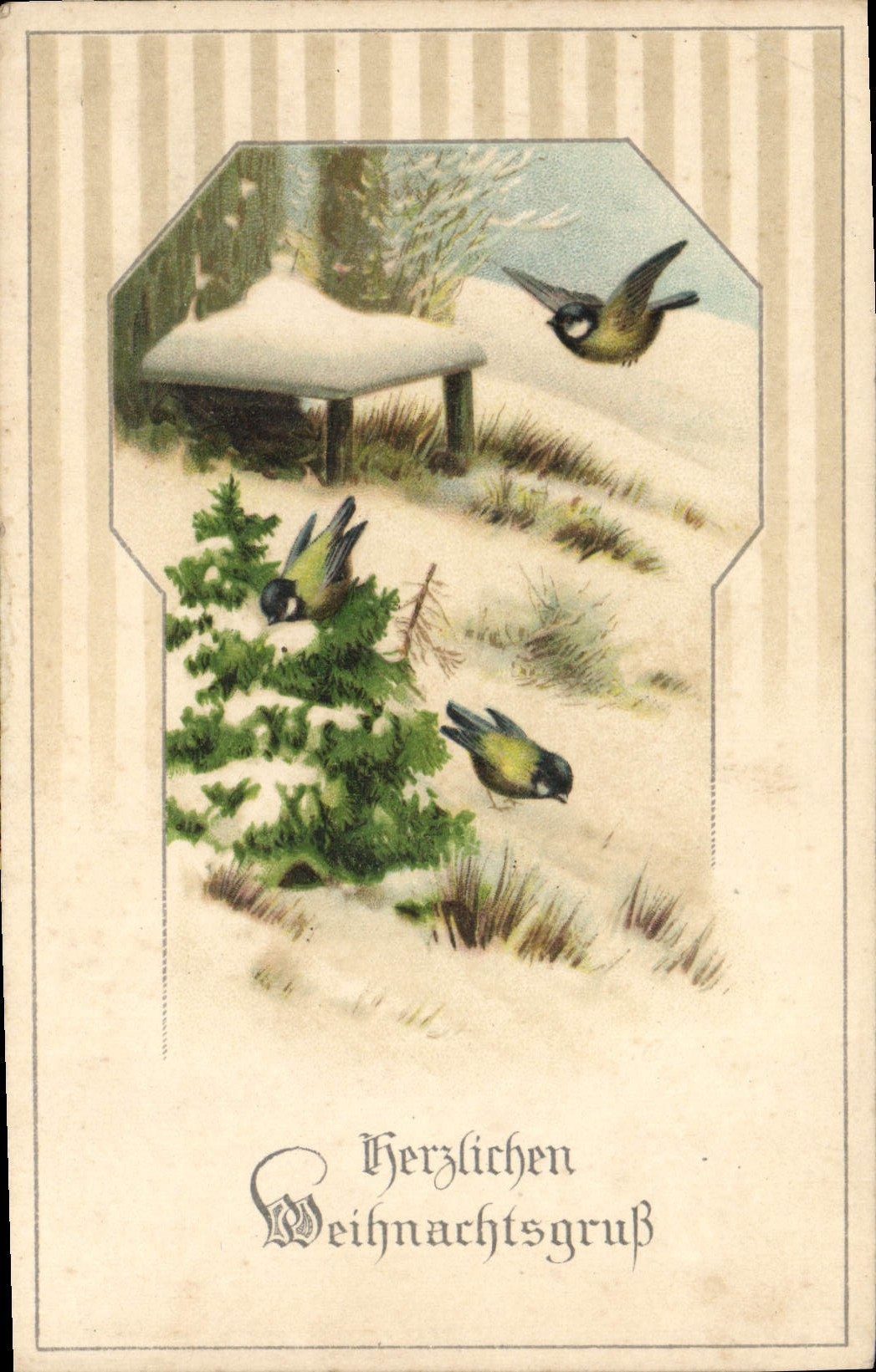 CPA Fantaisie Oiseaux