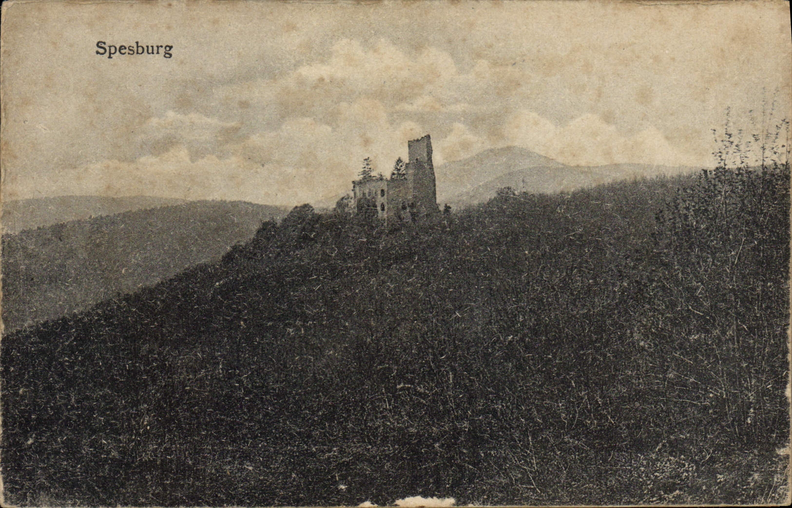 VINTAGE POSTCARD Spesburg