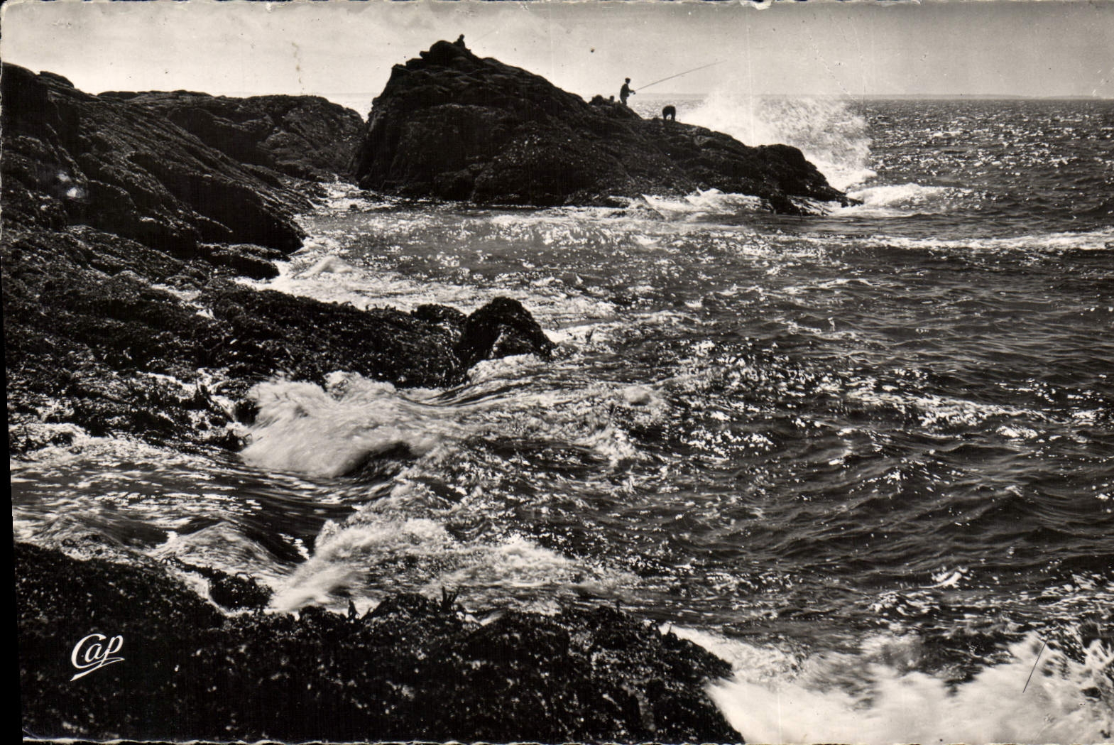 CPM La cote Sauvage 
