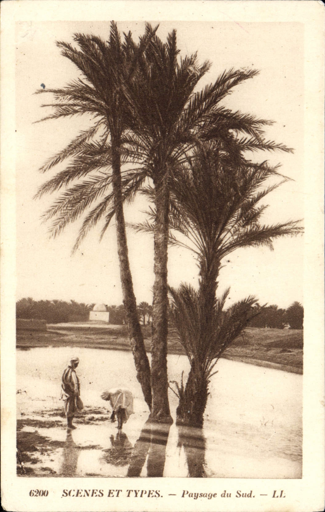 CPA Scenes Et Types Paysage du Sud