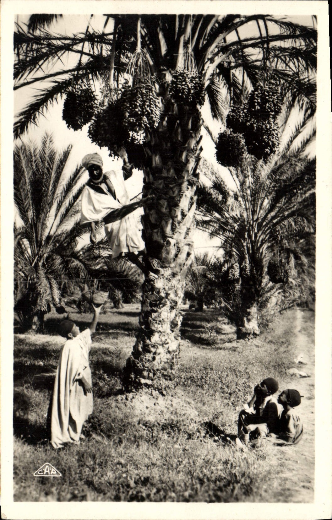 MODERN CARD Scenes and Types the Gathering of Dates