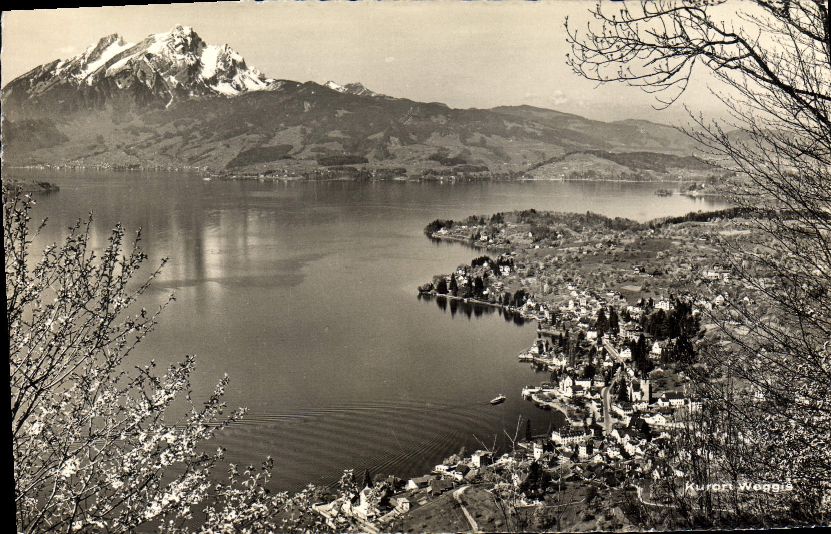 MODERN CARD Weggis amndt Vierwaldstattersee put Pilatus