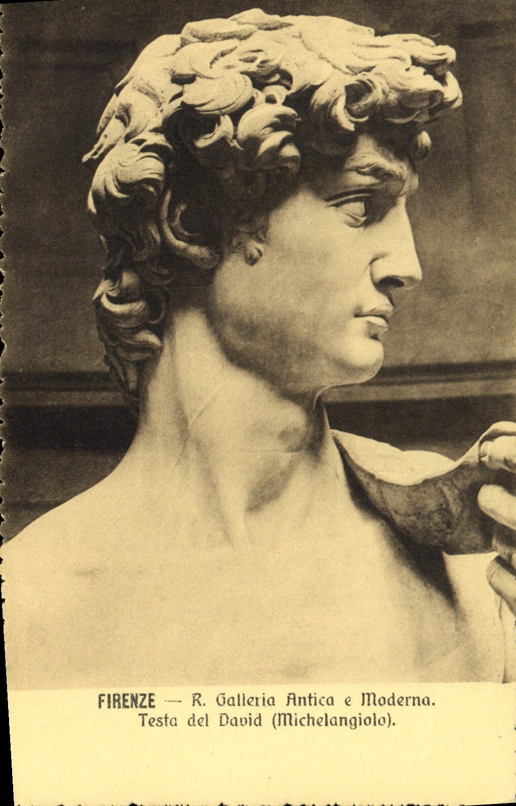 VINTAGE POSTCARD Firenze Galleria Antica E Moderna Tested del David Michelangiolo