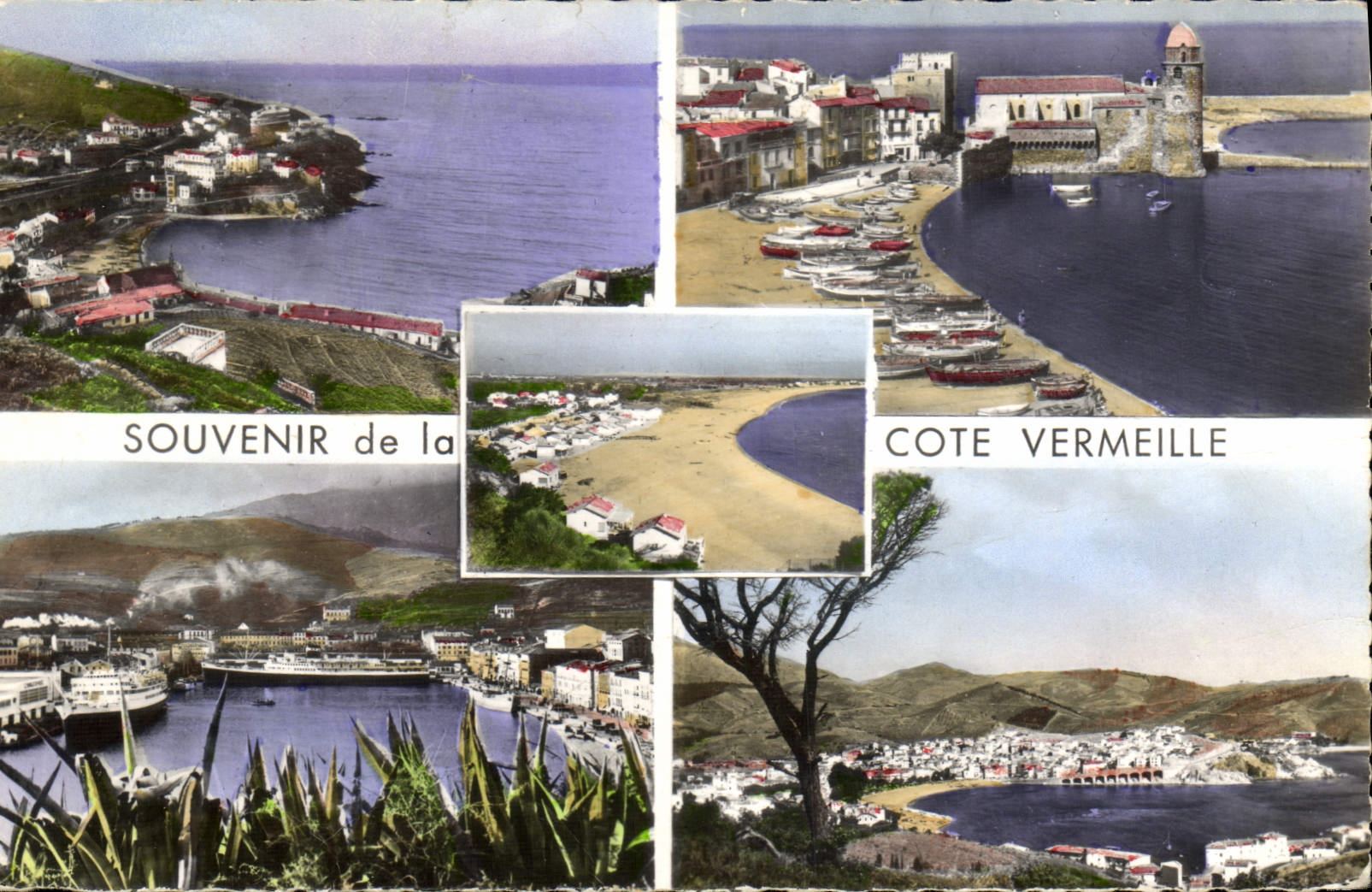 CPM Cote Vermeille Cerbere Collioure Argeles sur Mer Port Vendres