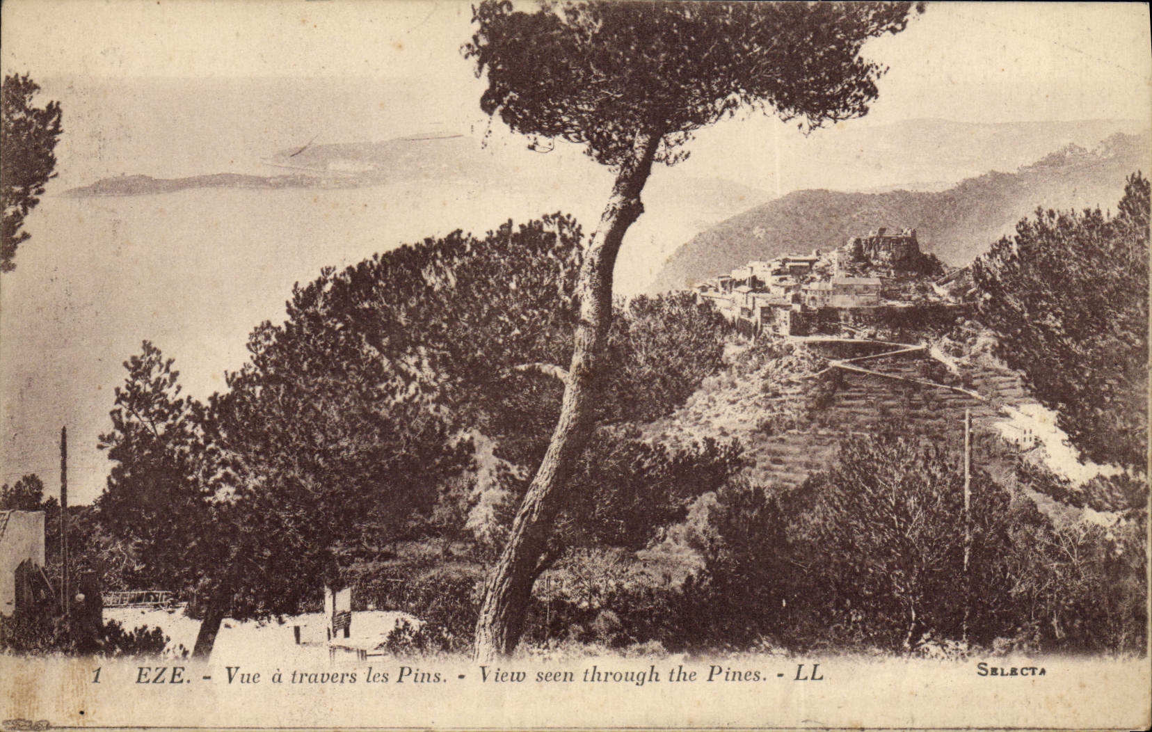 CPA Eze Vue A Travers Les Pins