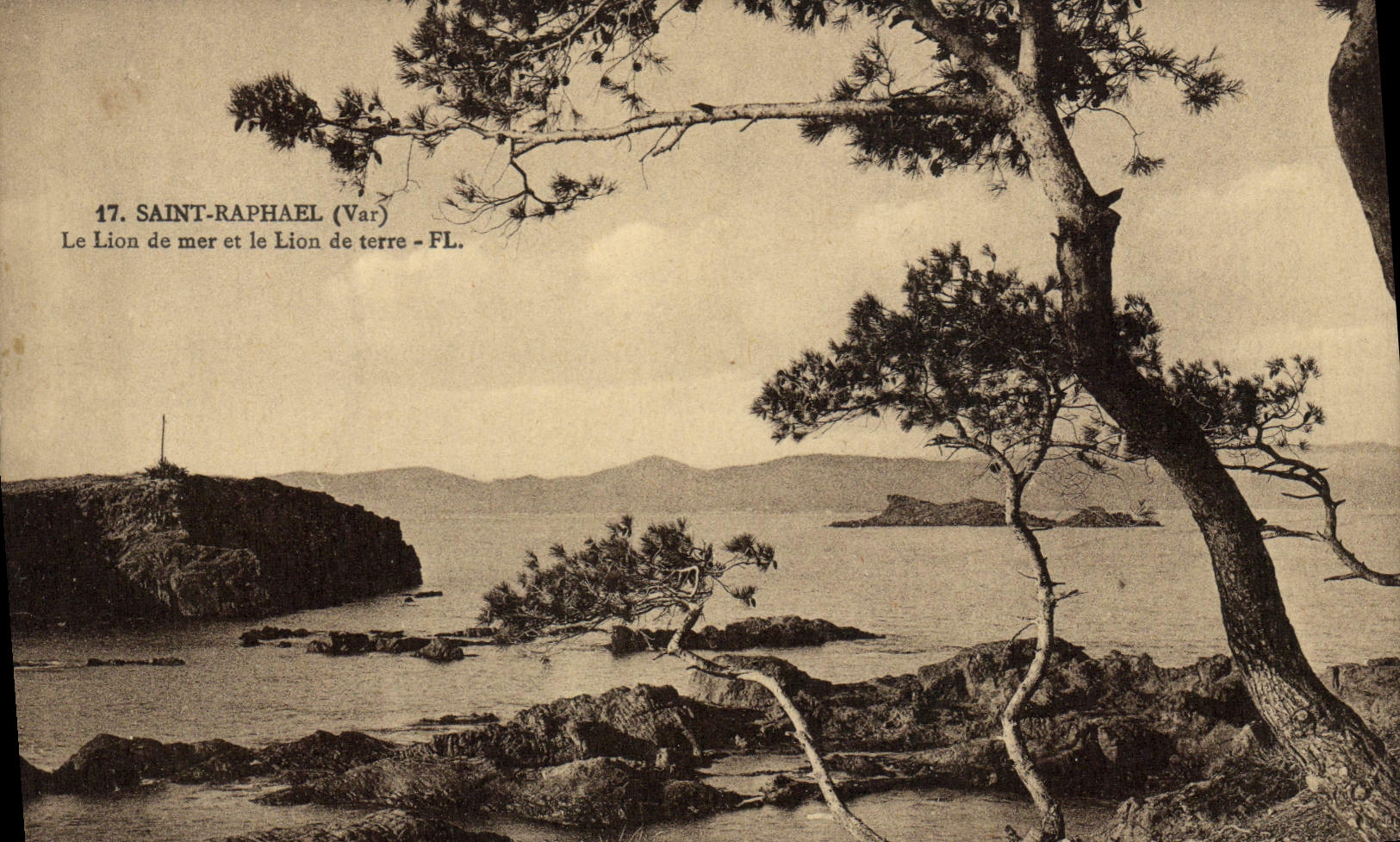 CPA Saint Raphael Le lion de mer le lion de terre