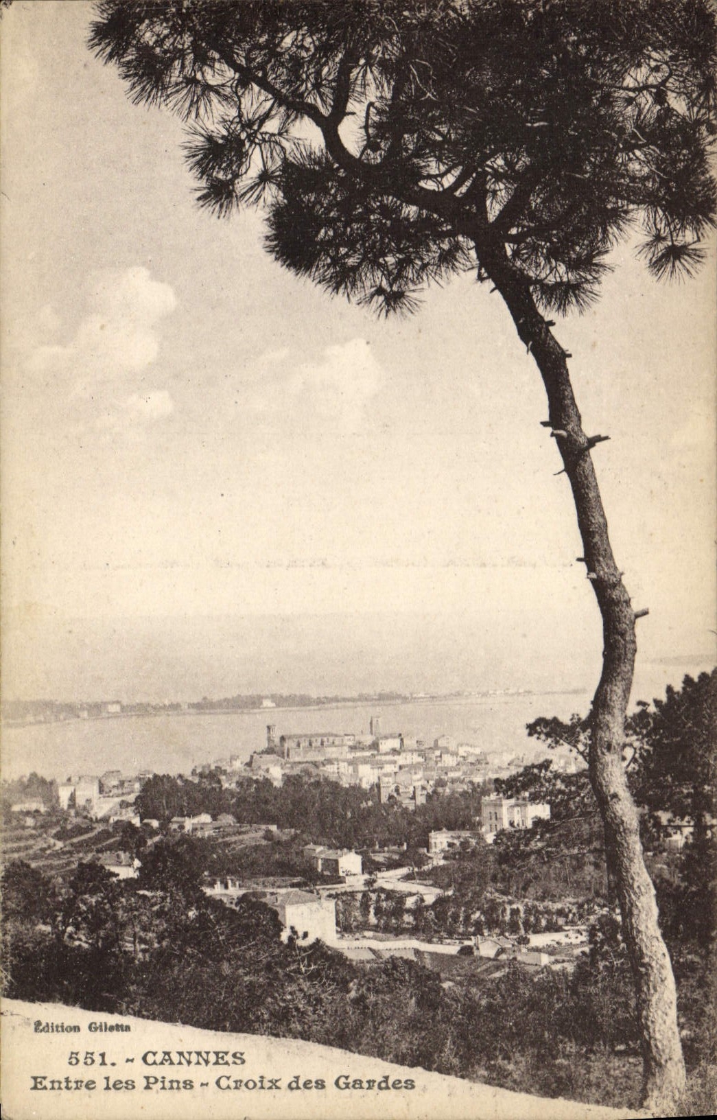 CPA Cannes Entre Les Pins Croix Des Gardes