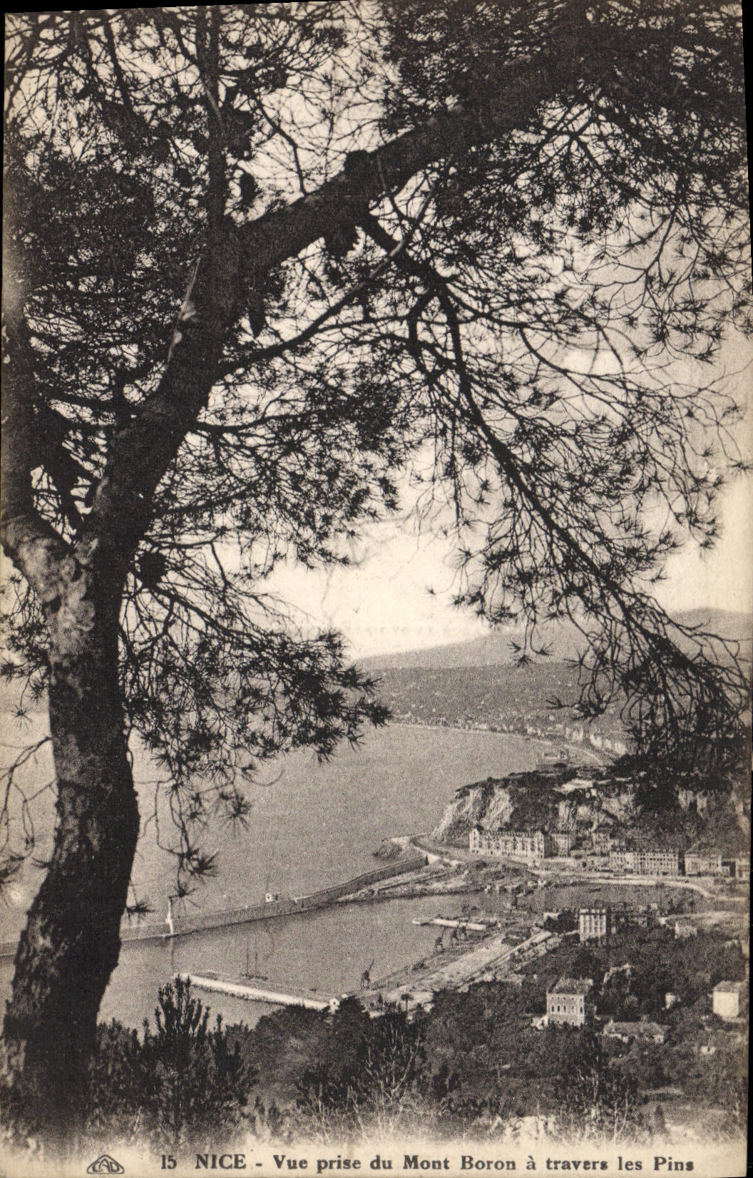 POSTAL de la VENDIMIA Niza vista del montaje del boro a través de los pinos