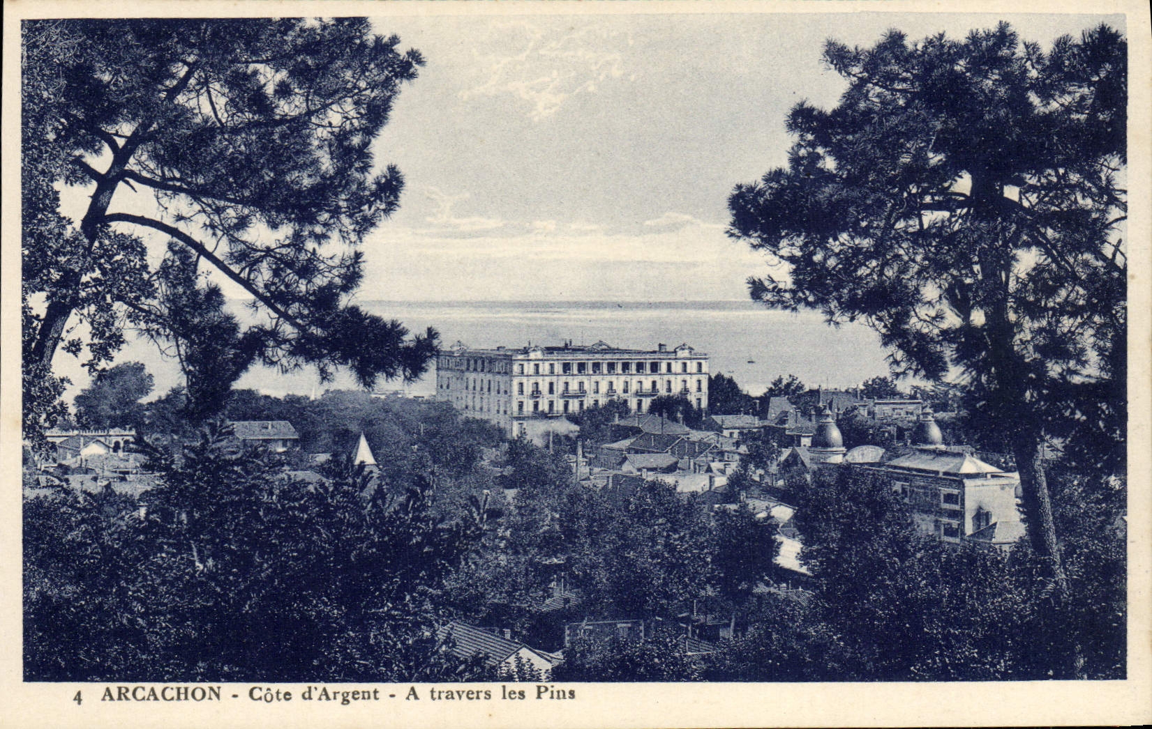 CPA Arcachon Cote d'Argent A travers les Pins